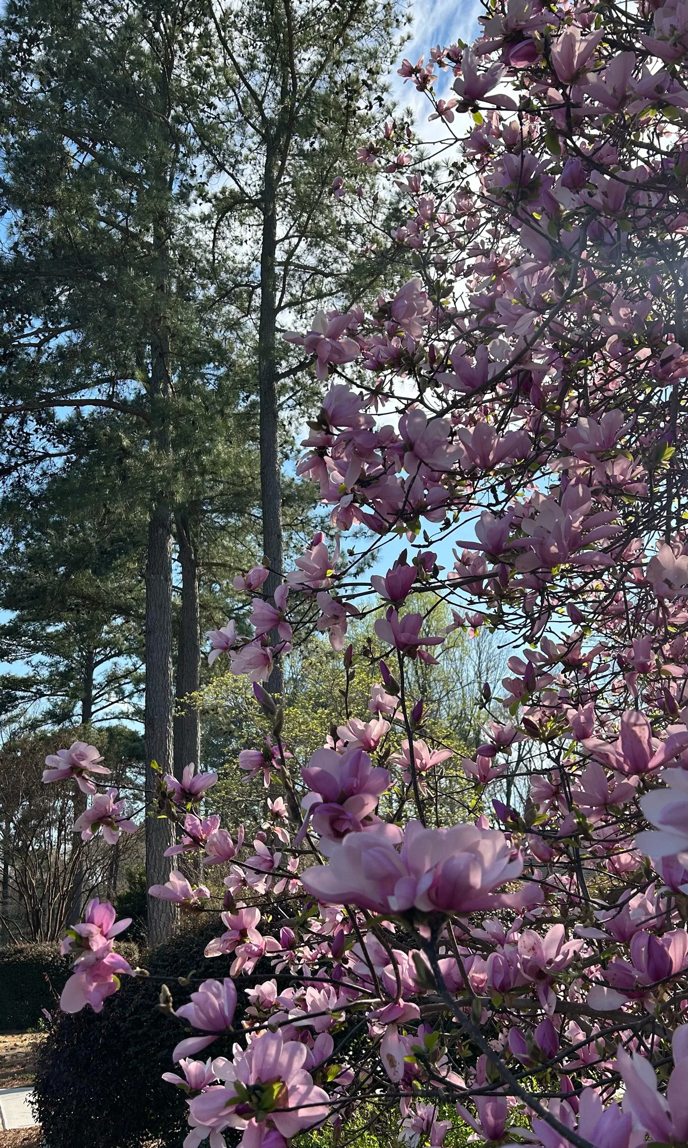 Why Should Big Businesses Be the Only Ones With This Advantage?