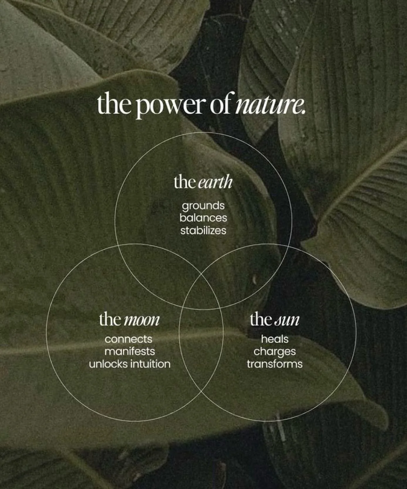 Pinterest = forever a vibe 🌿