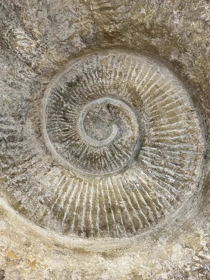 Sacred Practice Practitioner Kit