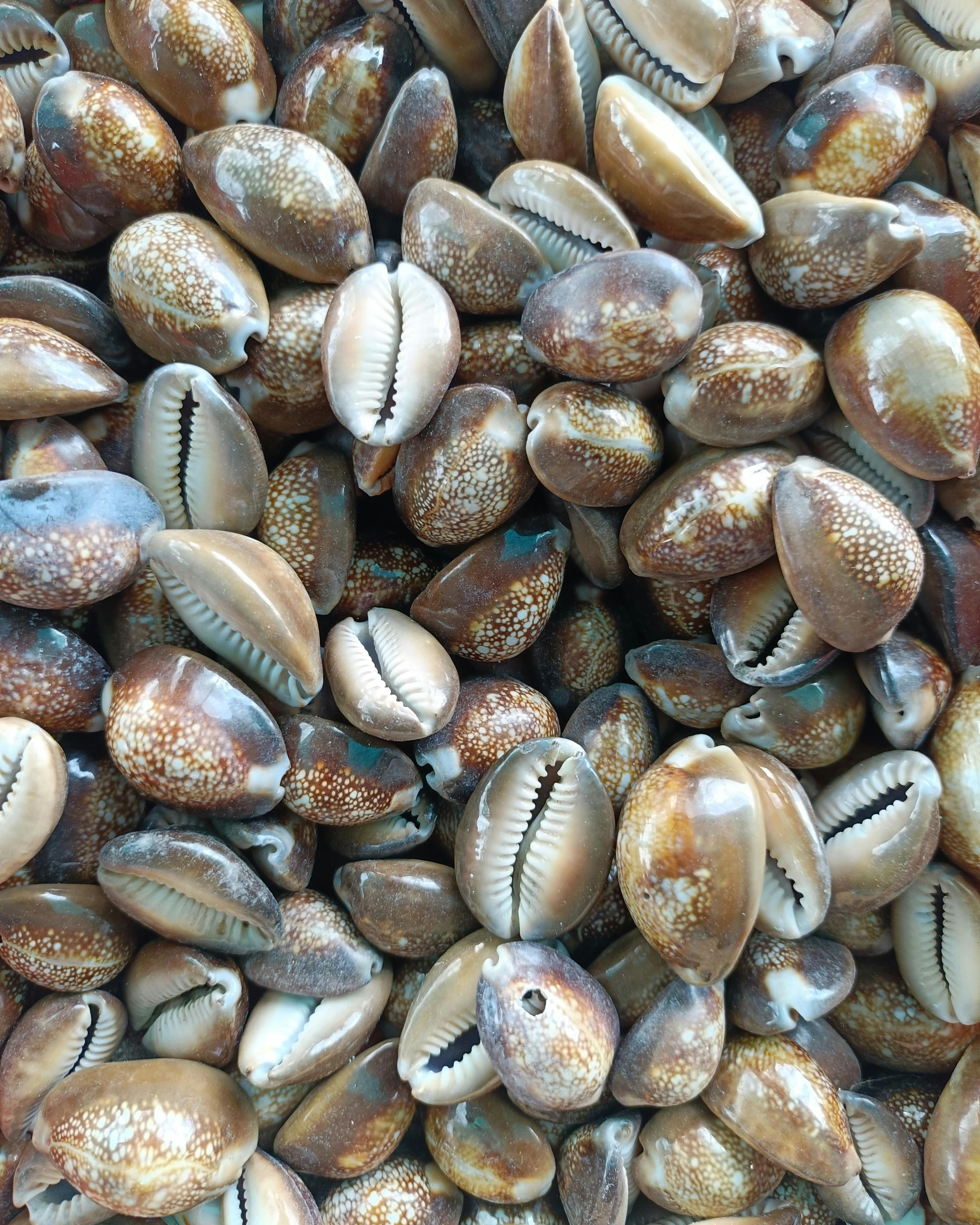 Untitled design-2.png