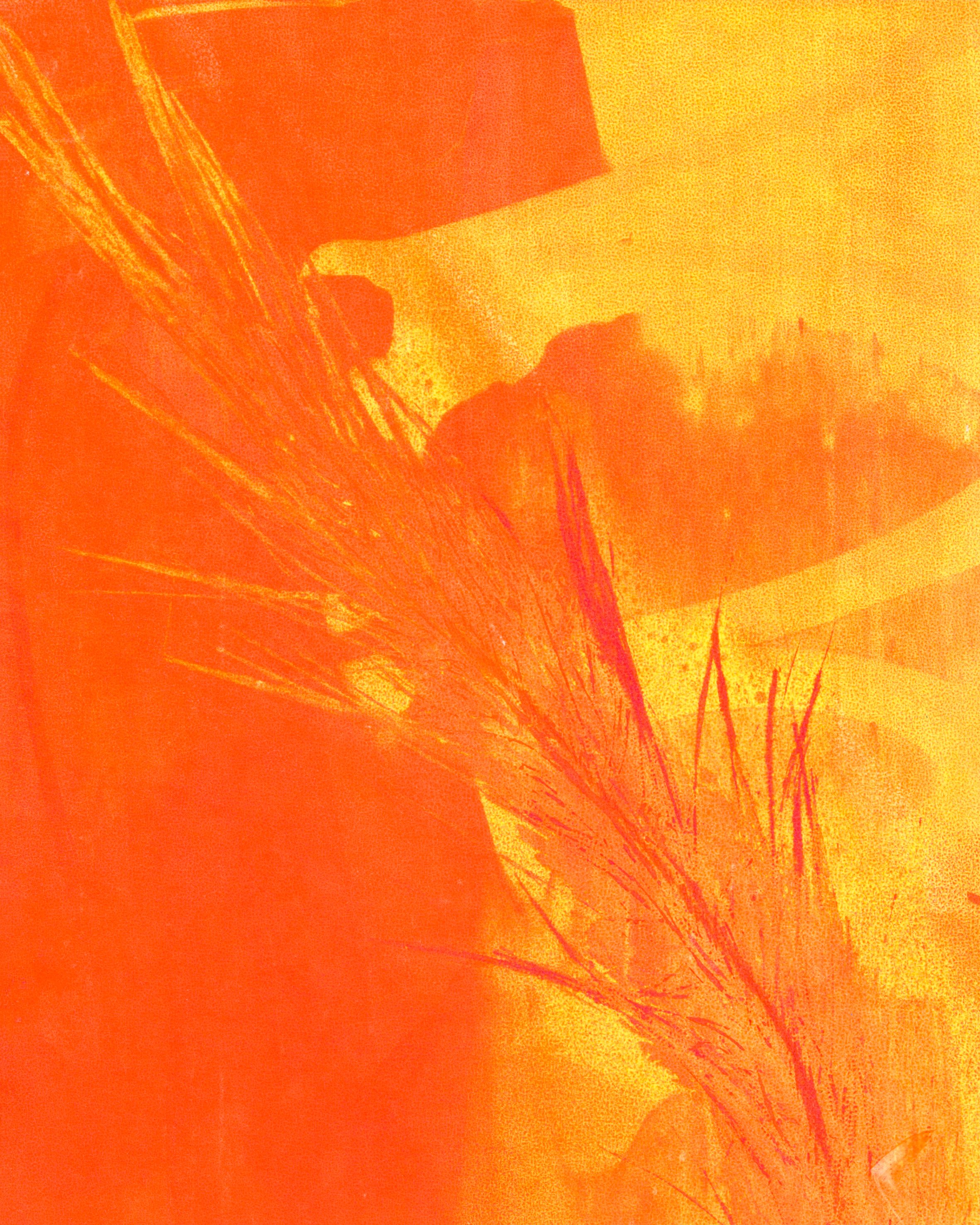 Hand screen printed 'Feather and Fluro' series number 2