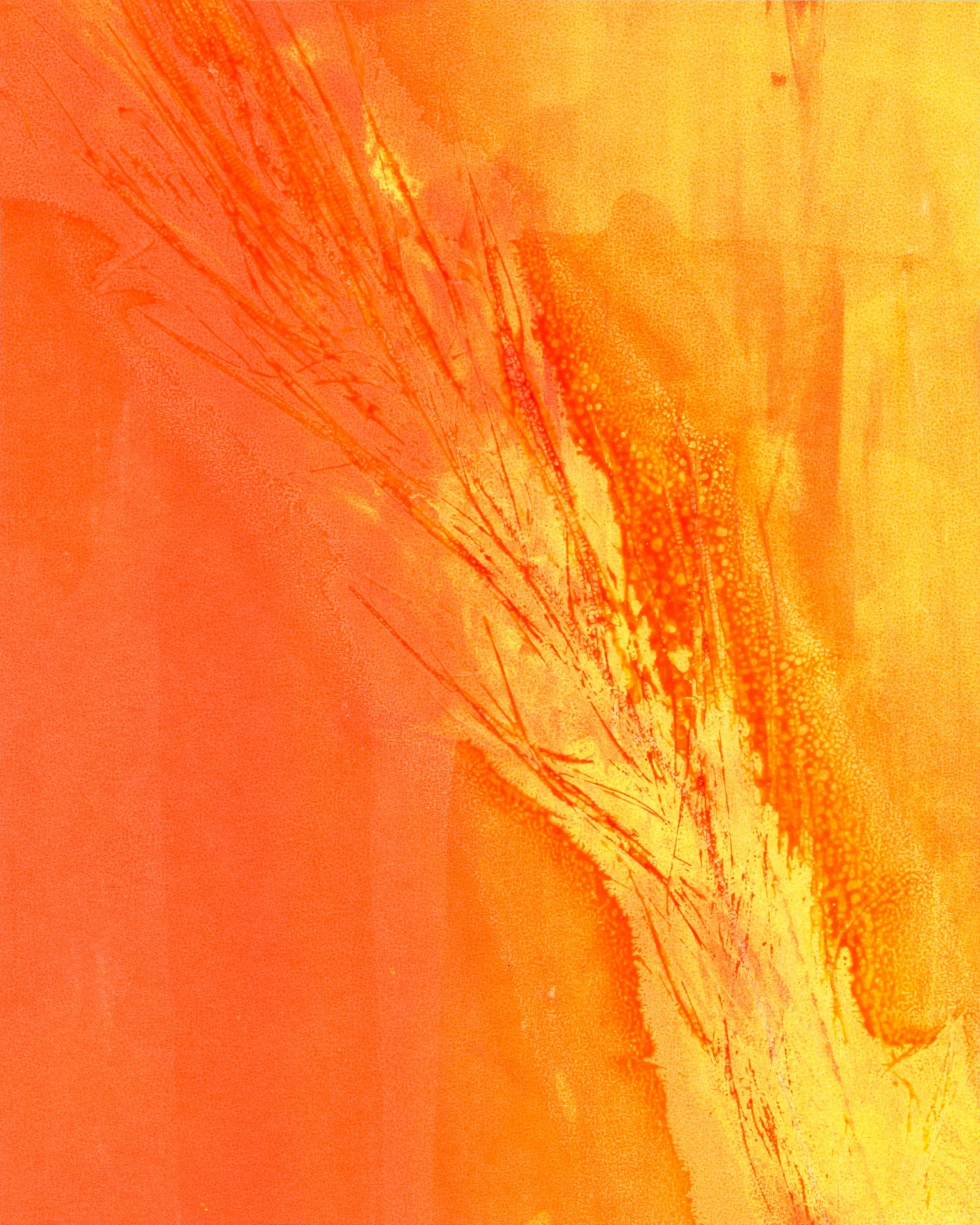 Hand screen printed 'Feather and Fluro' series number 4