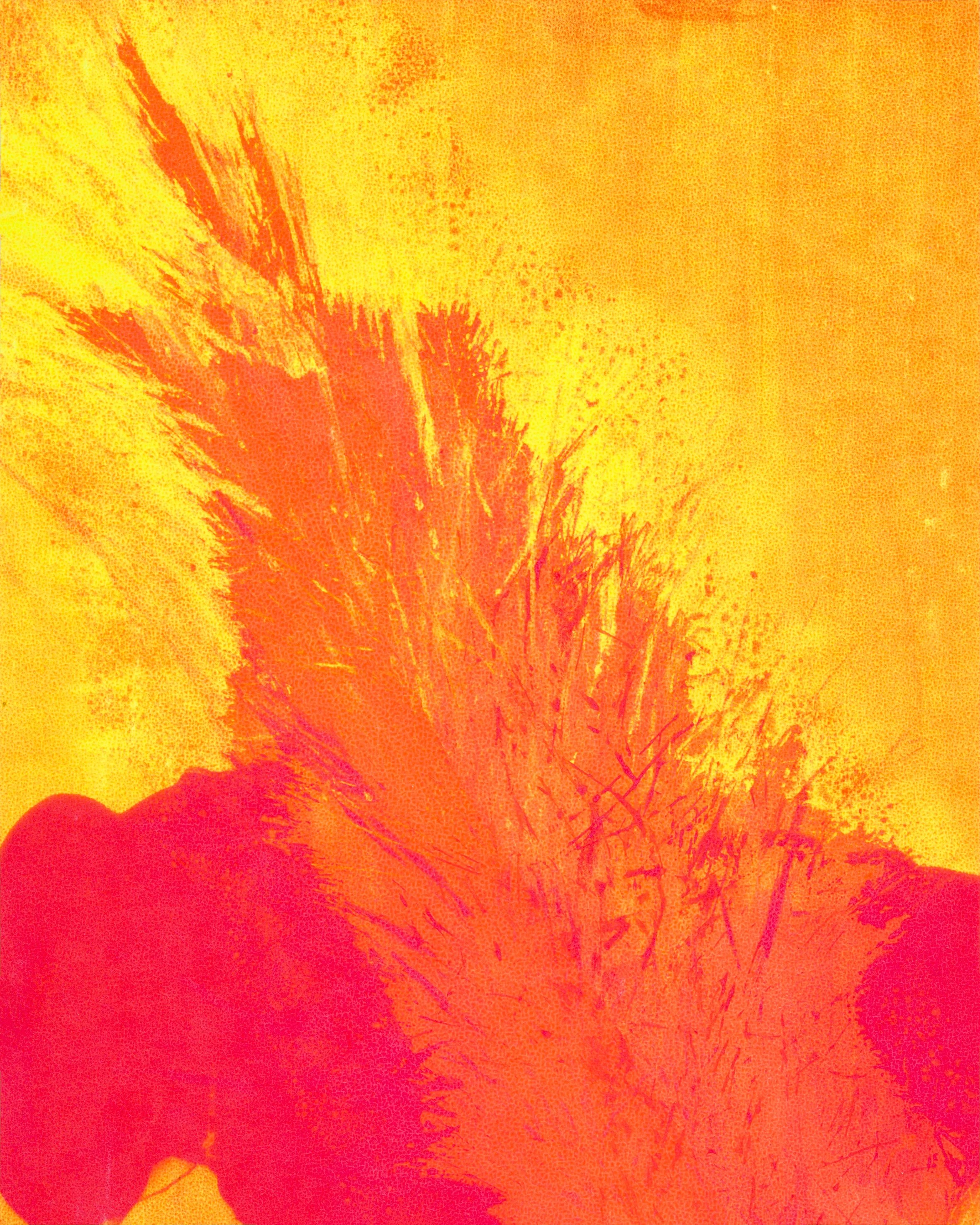 Hand screen printed 'Feather and Fluro' series number 3