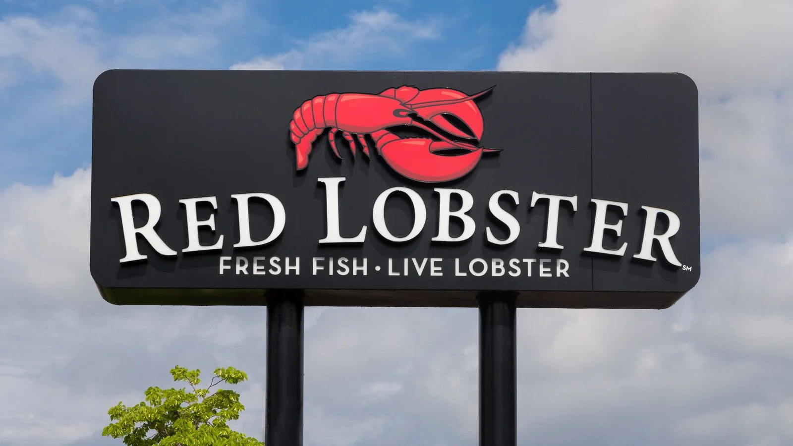 How Marketing Missteps Led to a Seafood Chain’s Demise