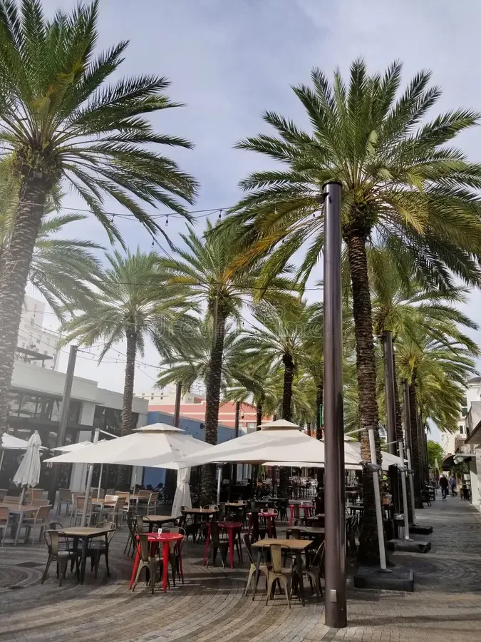 Coral gables Miami Florida Search Engine Optimization