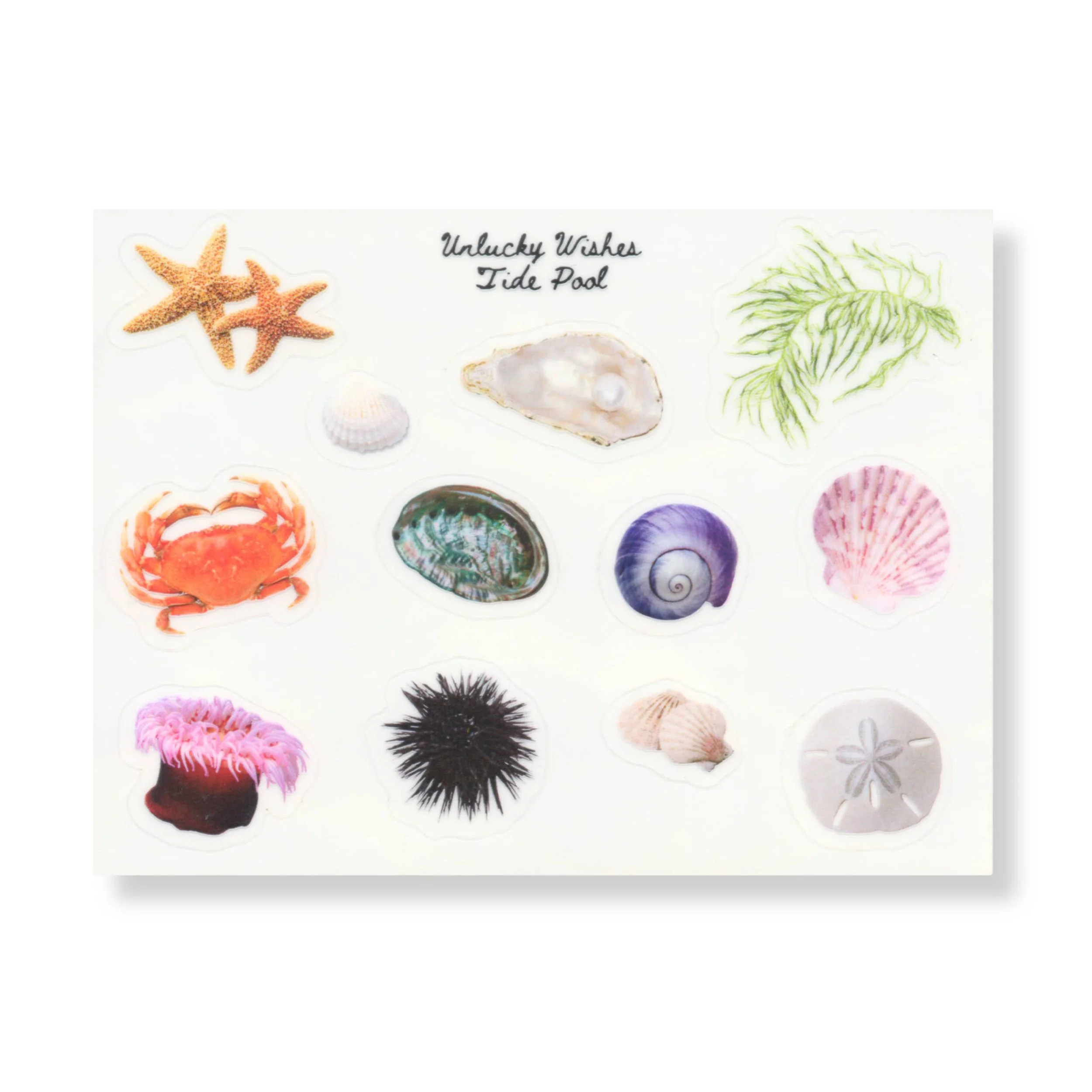 tide-pool-sticker-sheet-3x4-12-glossy-stickers-2.jpg