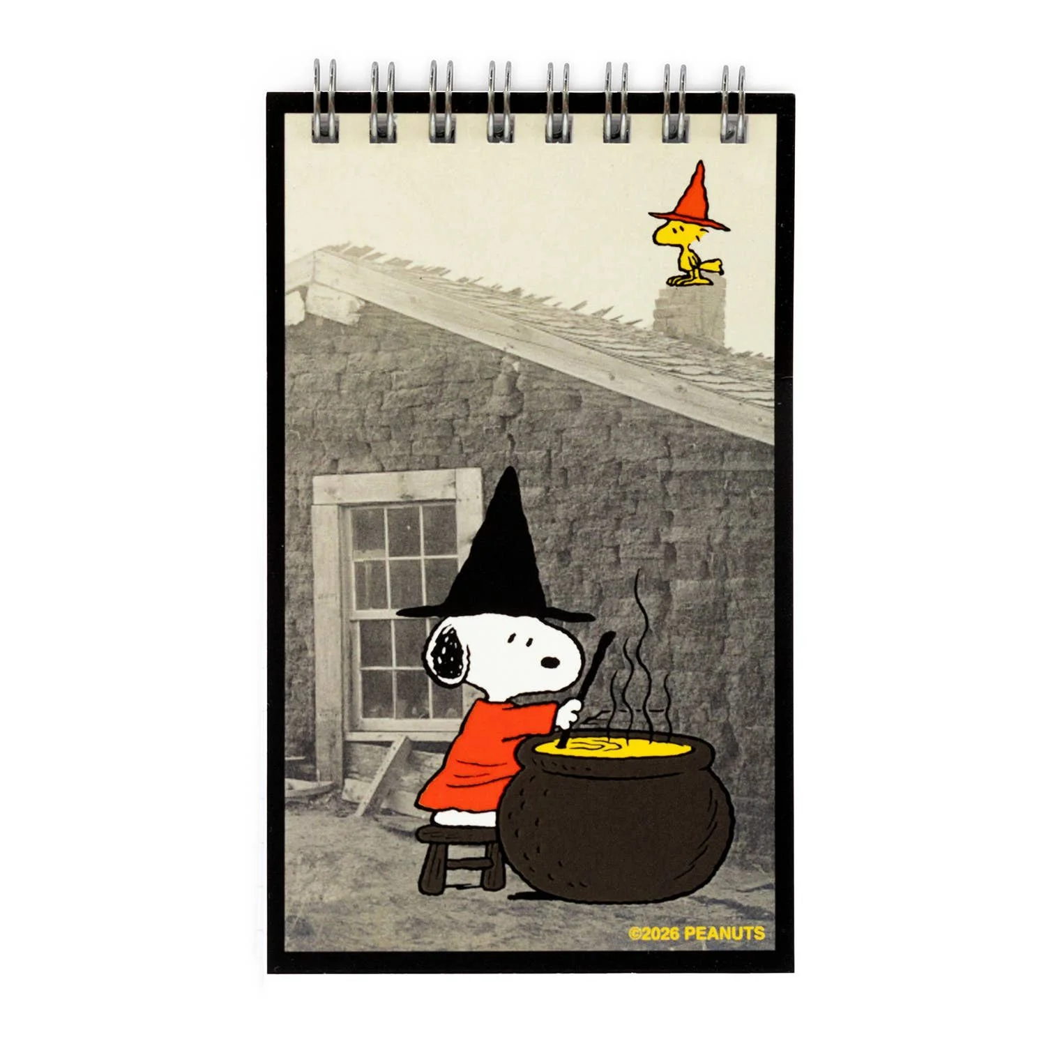 3p4-x-peanuts-halloween-snoopy-witch-mini-notebook-2.jpg