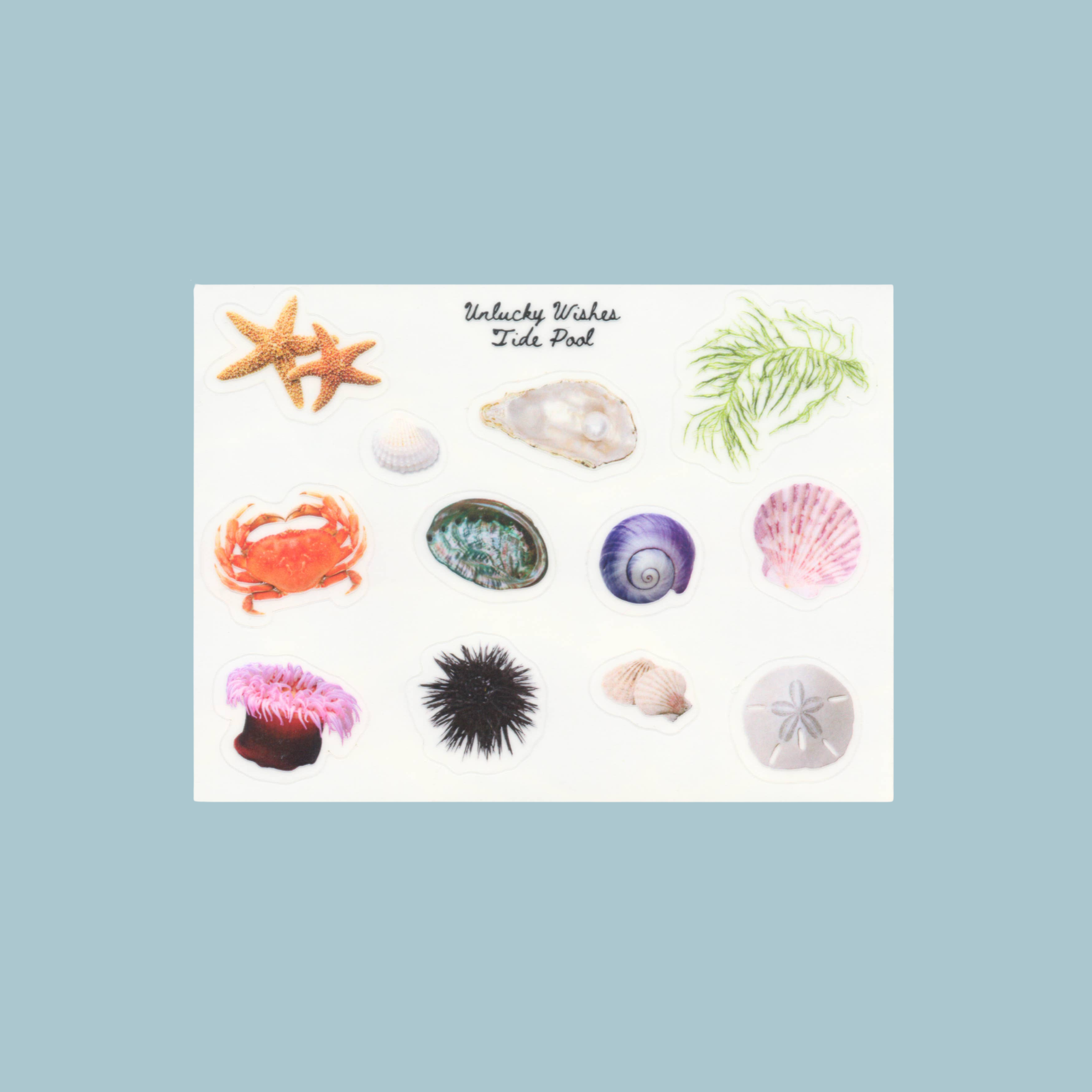 Product Photos Square (10).png