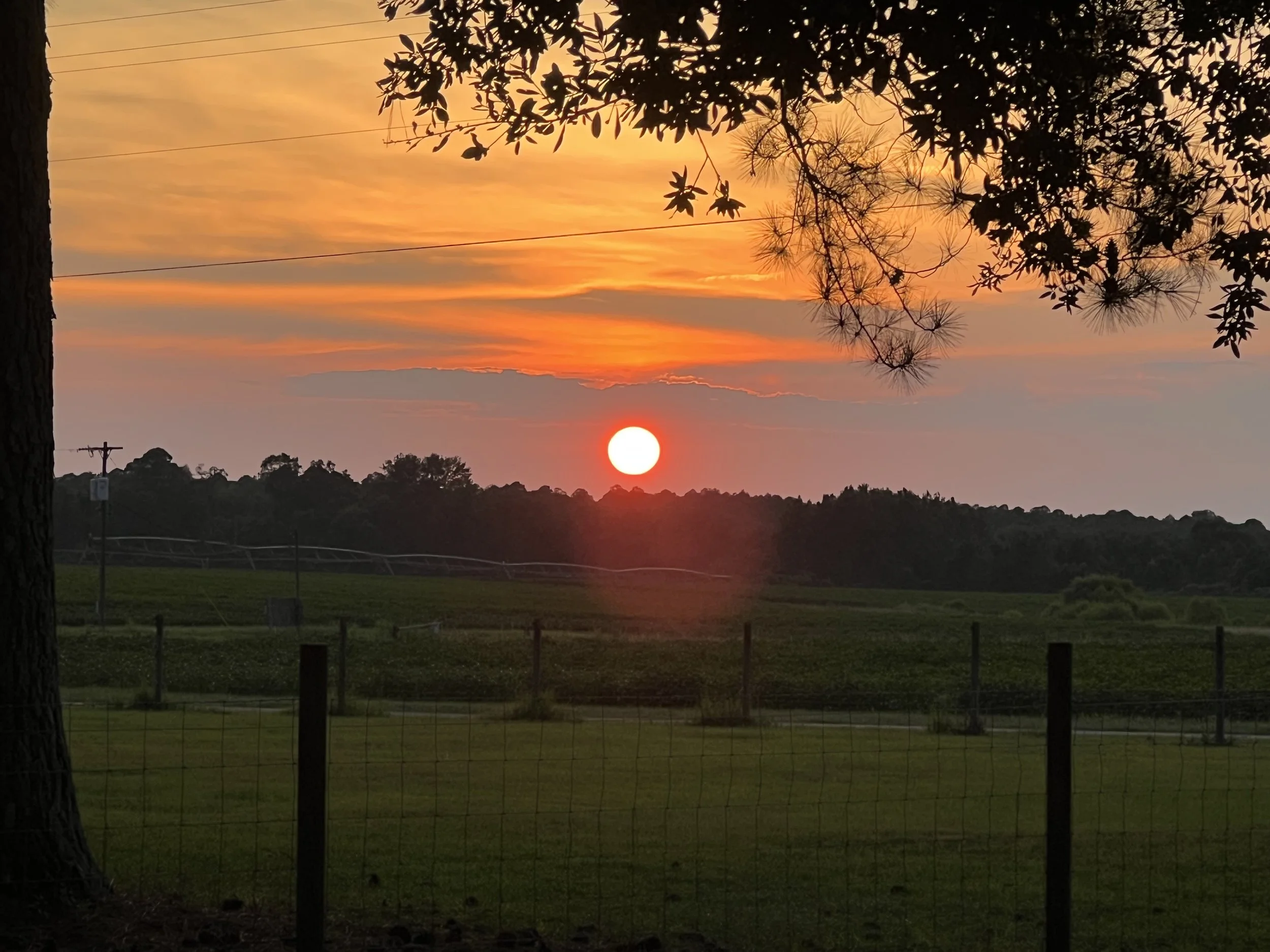 Sunset.jpg