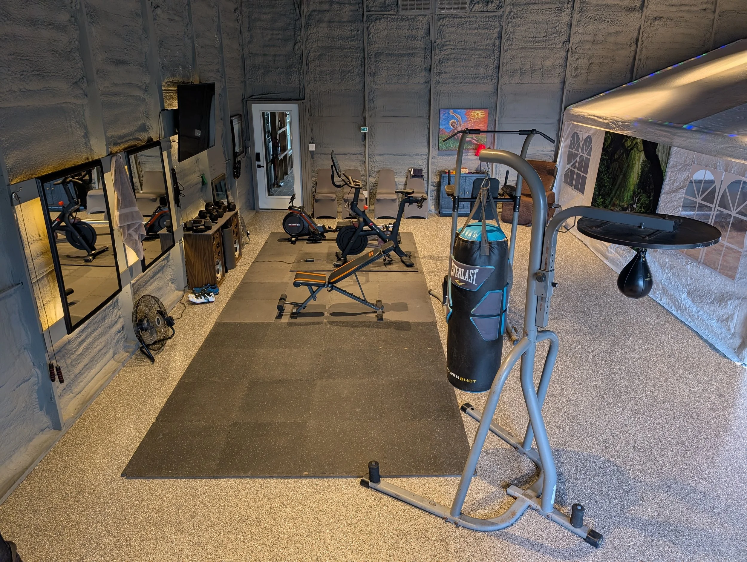 Home gym with exercise equipment including a treadmill, stationary bike, punching bag, and workout mats on the floor, with mirrors and wall art in the background.