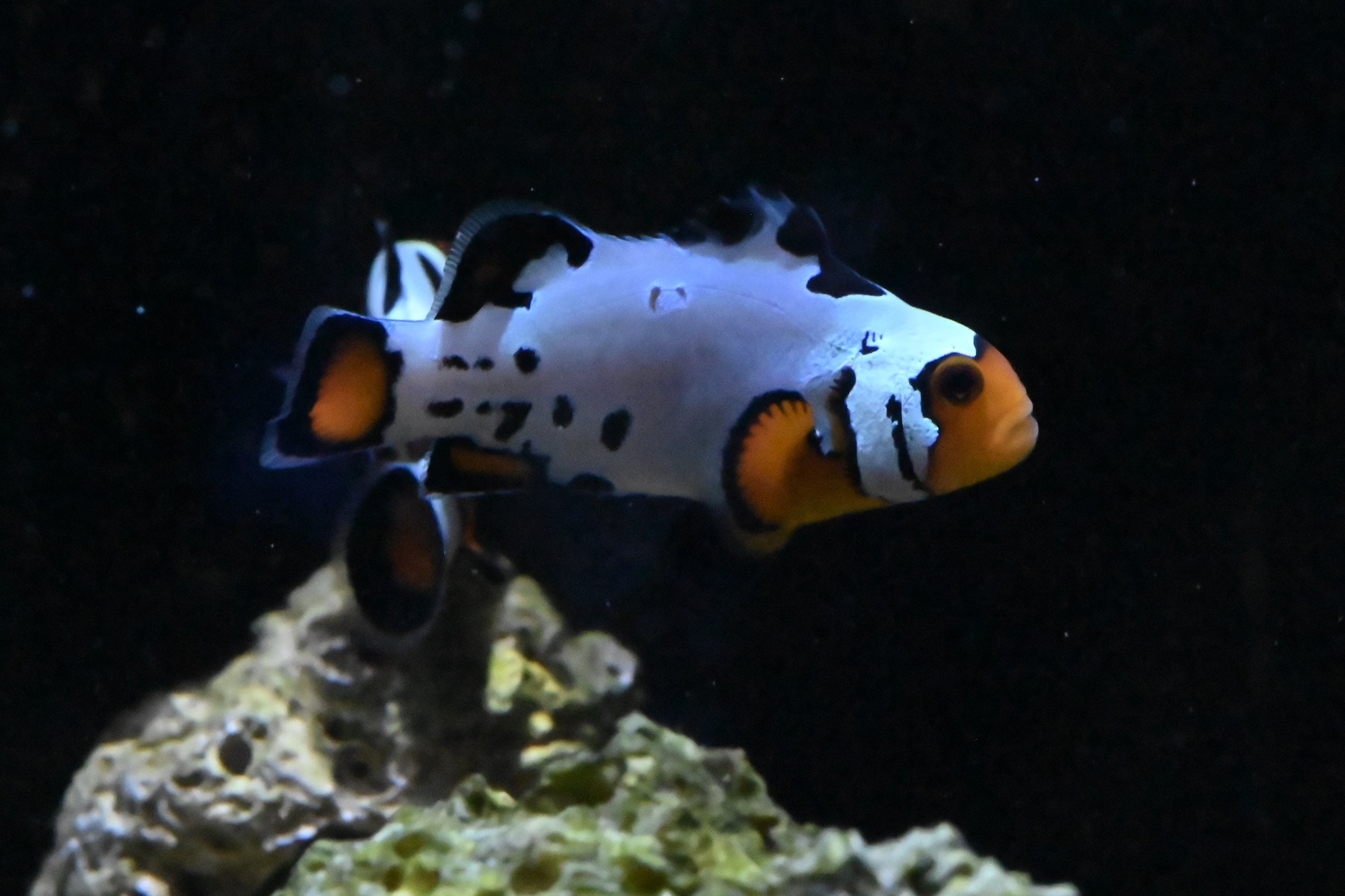 DSC_9148.jpeg