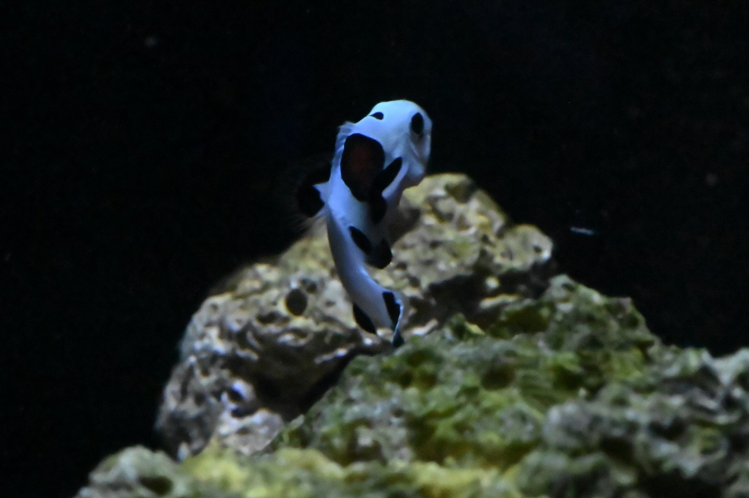 DSC_9179.jpeg