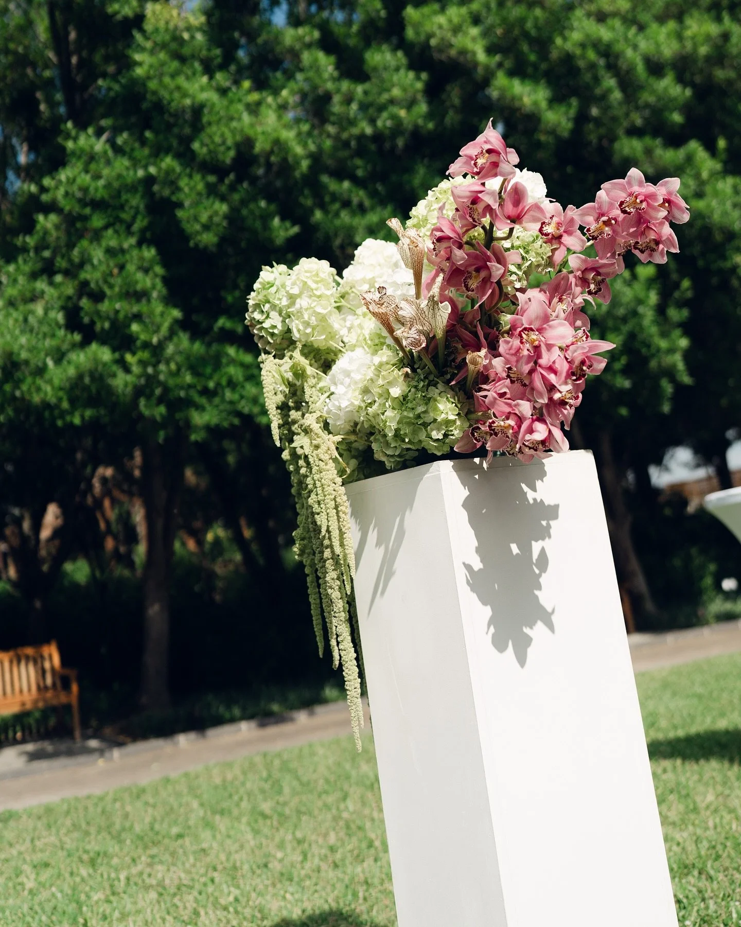 ceremony sweetness 🕊️🕊️

Venue: @texasdiscoverygardens 
Photographer: @bybradiebruce 
Planner: @conwaycollectiveevents

#dallasflorist #dfwflorist #dallasweddingflorist #dallasweddingflowers #dfwweddings #dallaswedding #dfwweddingflorist #dallasbri