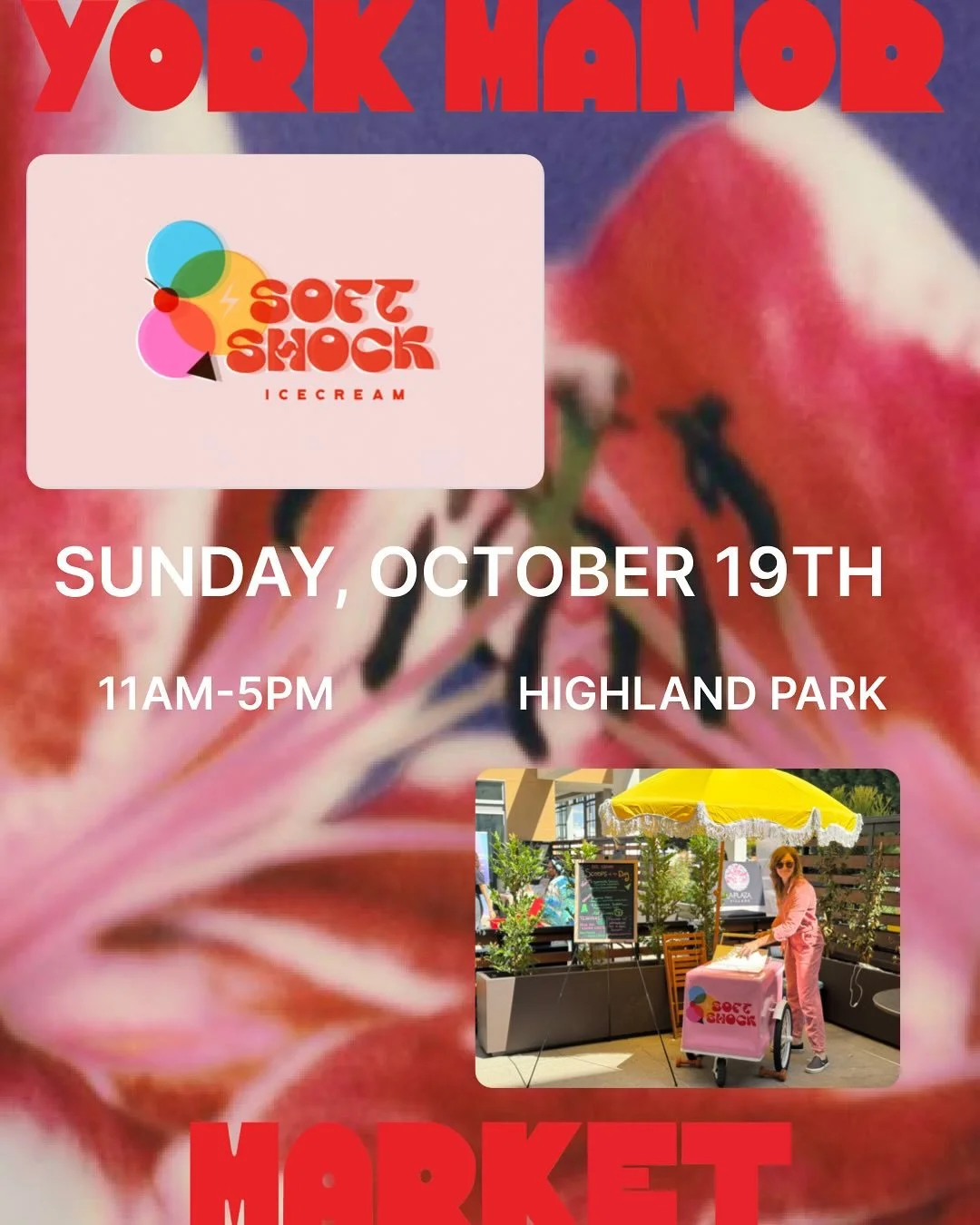 This Sunday Oct 19th, come find me and my cart for some spooky scoops! I&rsquo;ll be at York Manor Market along with a bunch of amazing vendors - and kitten adoption!!! Check out the full vendor list on their IG @yorkmanormarket &hearts;️🧡💗
#spooky