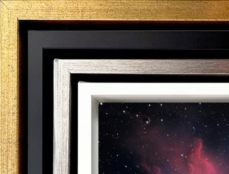 https://i.etsystatic.com/55660729/r/il/964ffc/6452542844/il_fullxfull.6452542844_kqu2.jpg