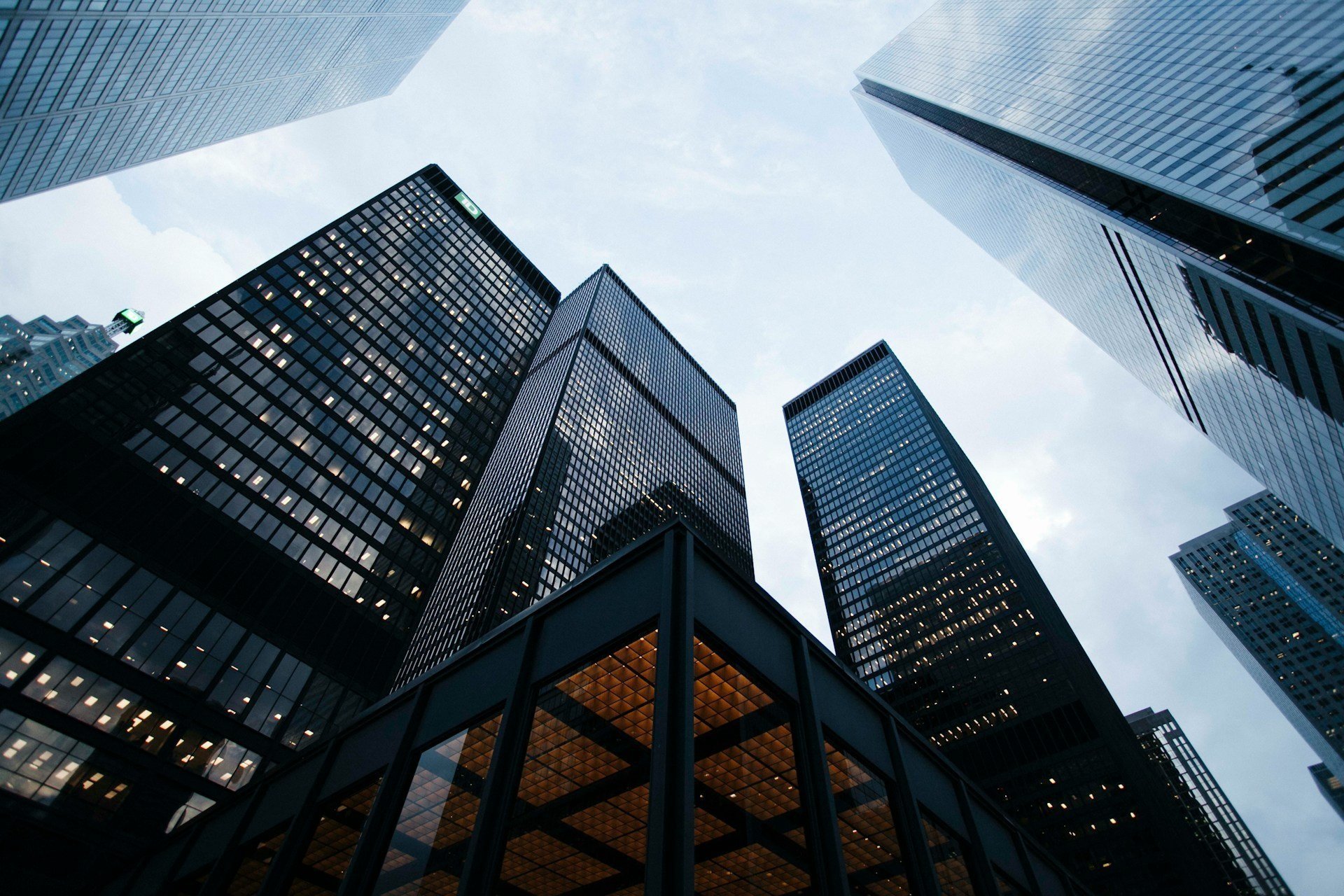Why Leadership Development Matters Now More Than Ever