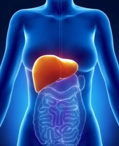 How to improve liver Health
