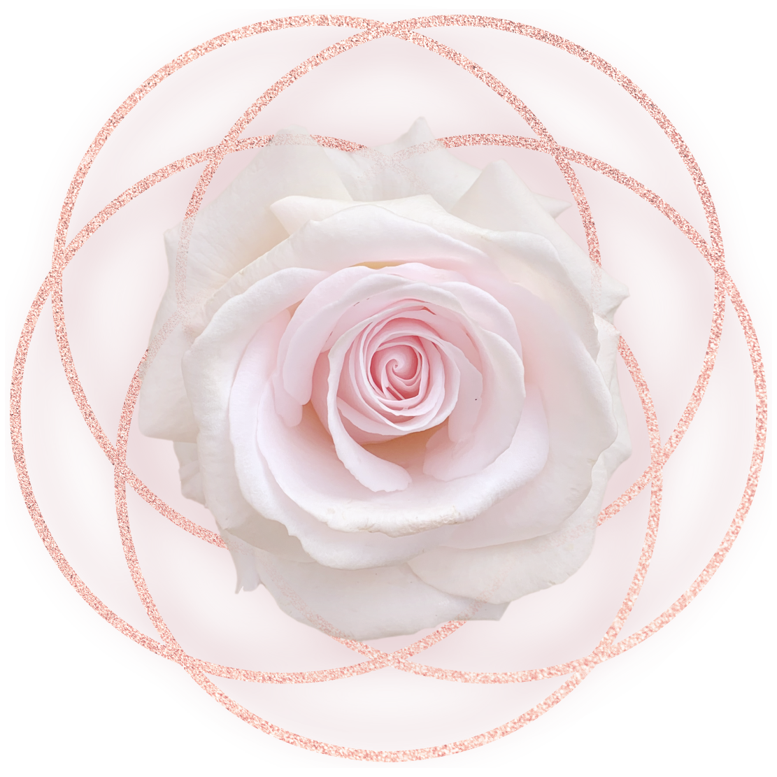 Sanctum Rosa