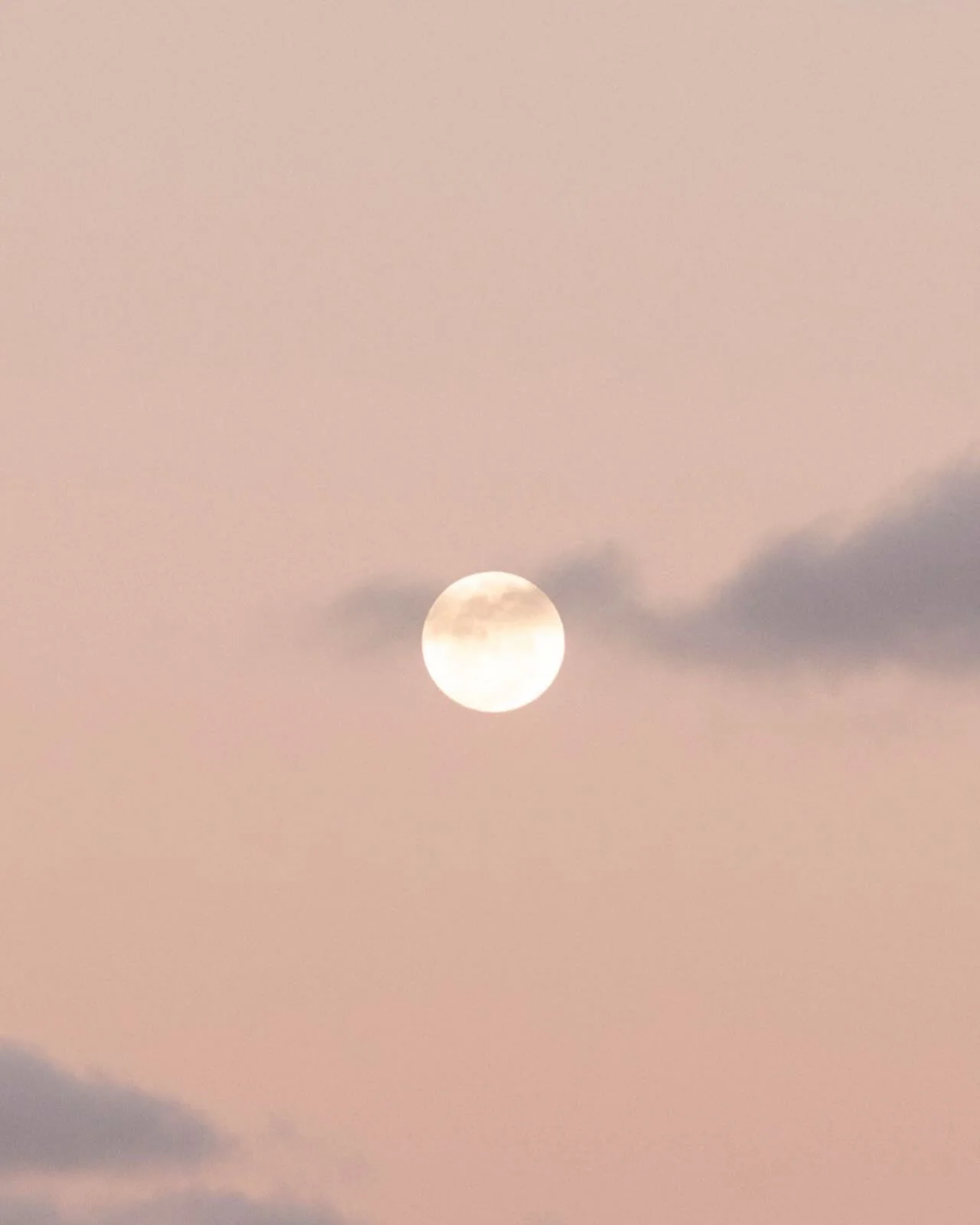 Full moon vibes 

#holistichealing #lomilomi #portmacquarie #healing