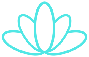Line drawing of a stylized flower with multiple elongated petals.