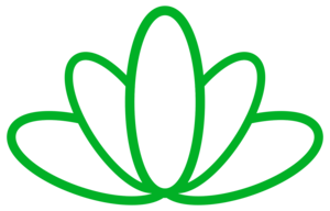 Green outline of a stylized aloe vera plant with multiple leaves
