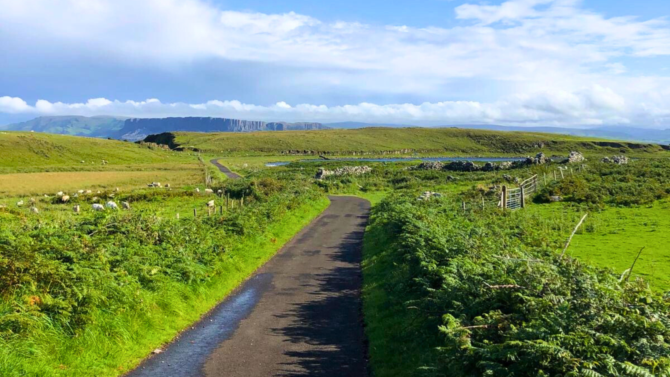 How a Quiet Moment on Rathlin Island Became inCharge