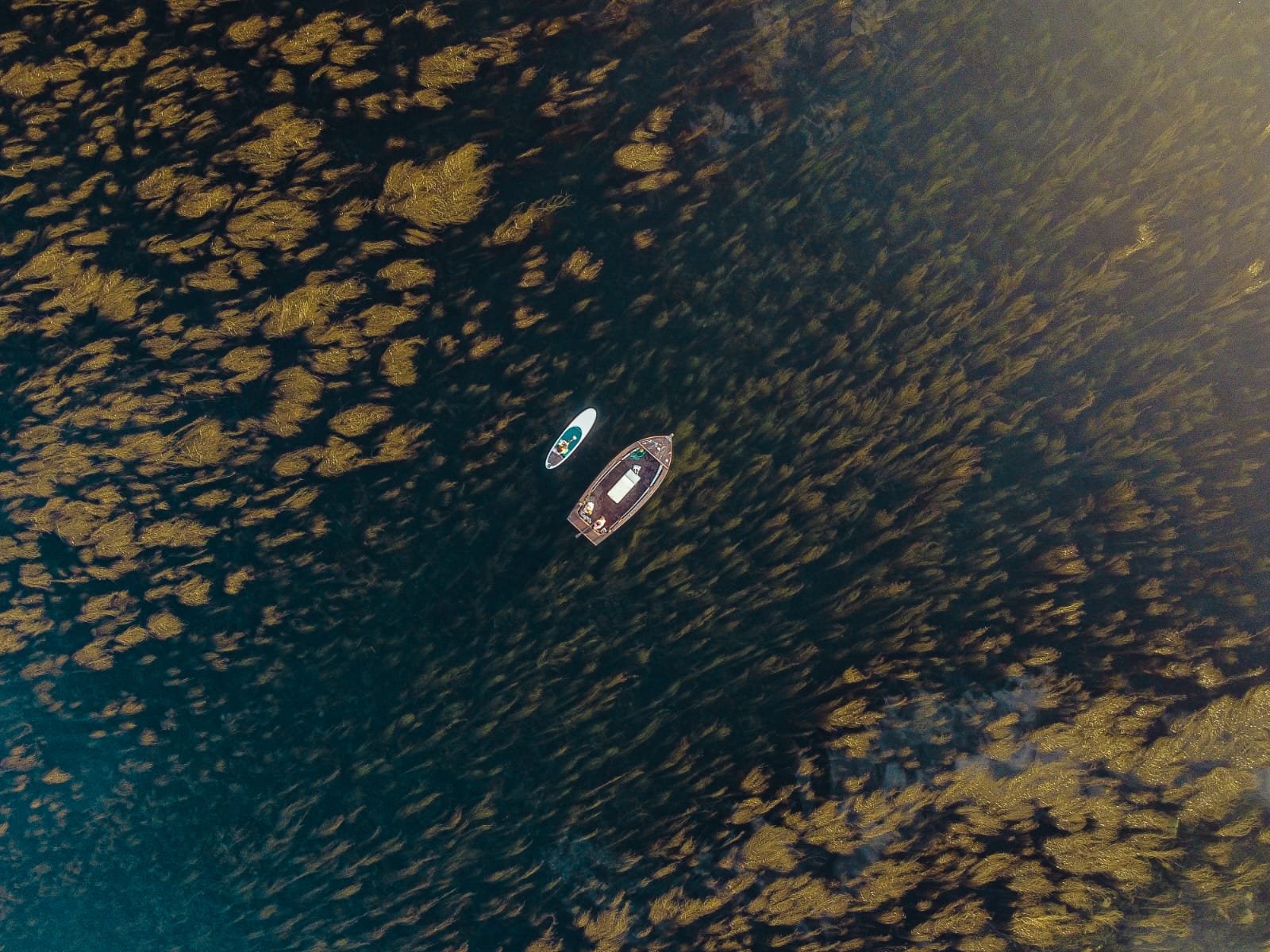 paddleboard and boat viewed from above