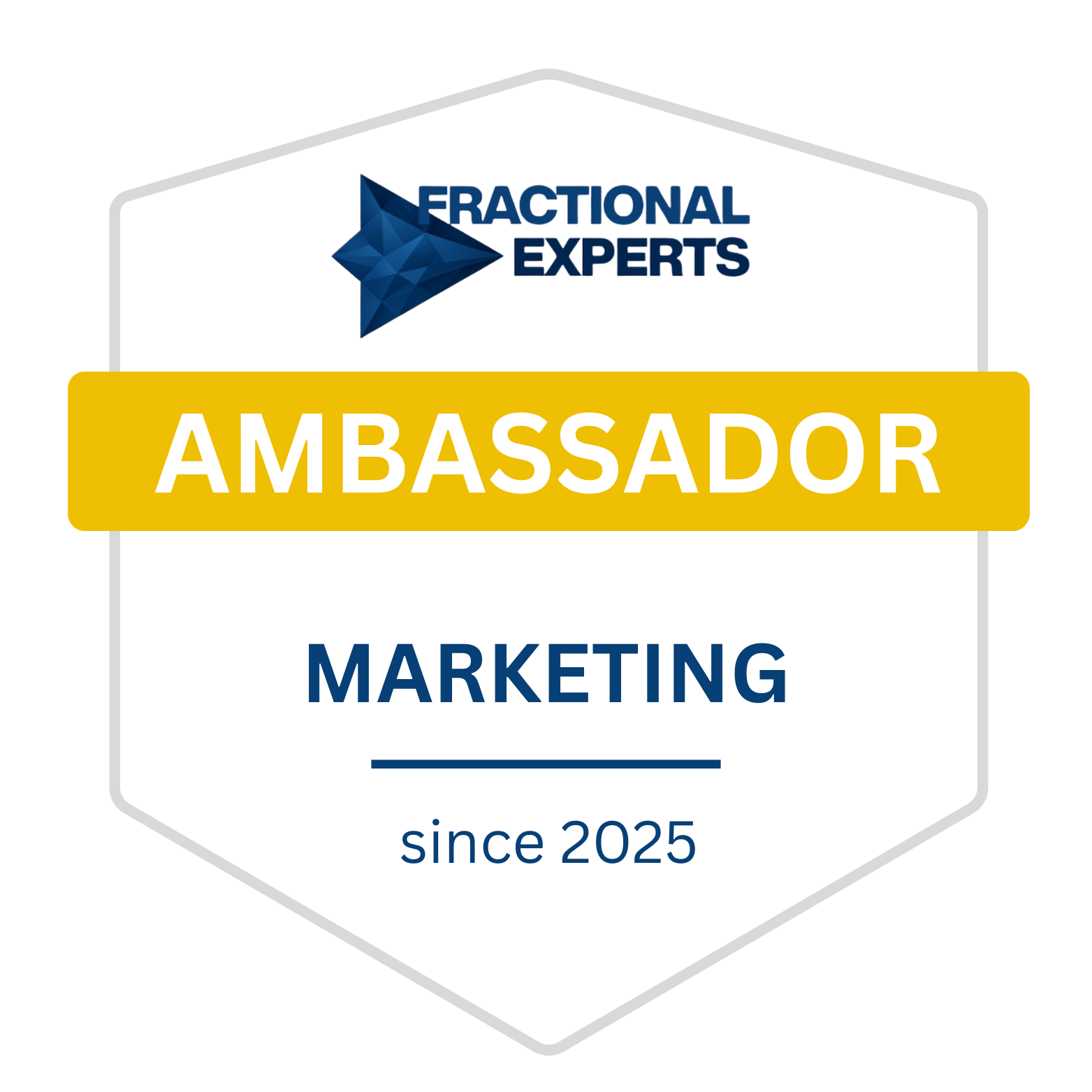 Offizielles Ambassador Badge der Fractional Experts, der 1. Community für Fractional Leadership in DACH