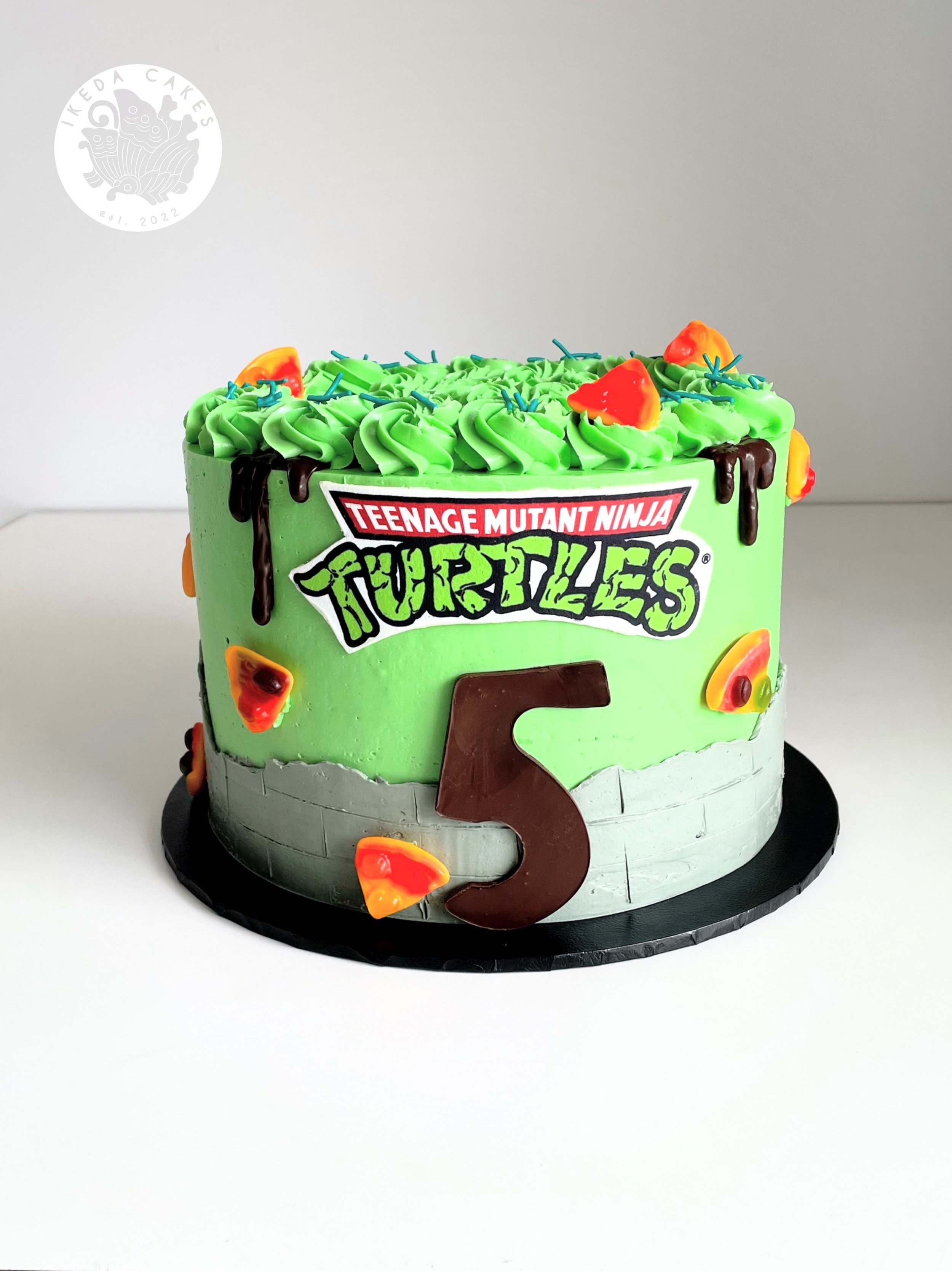 TMNT Cake