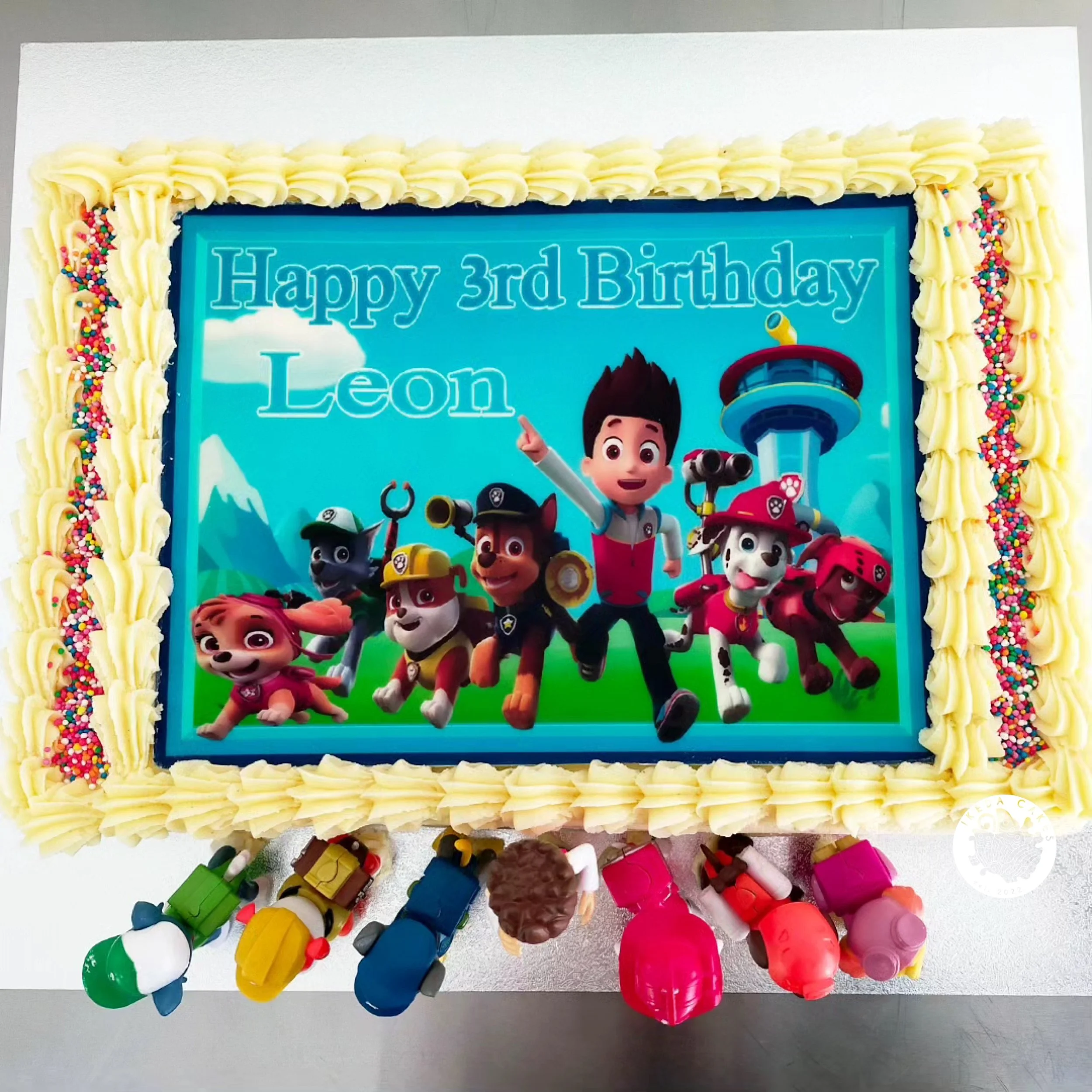 Slab Cake - Edible Image, Shell Piping Border, Sprinkles, Toppers