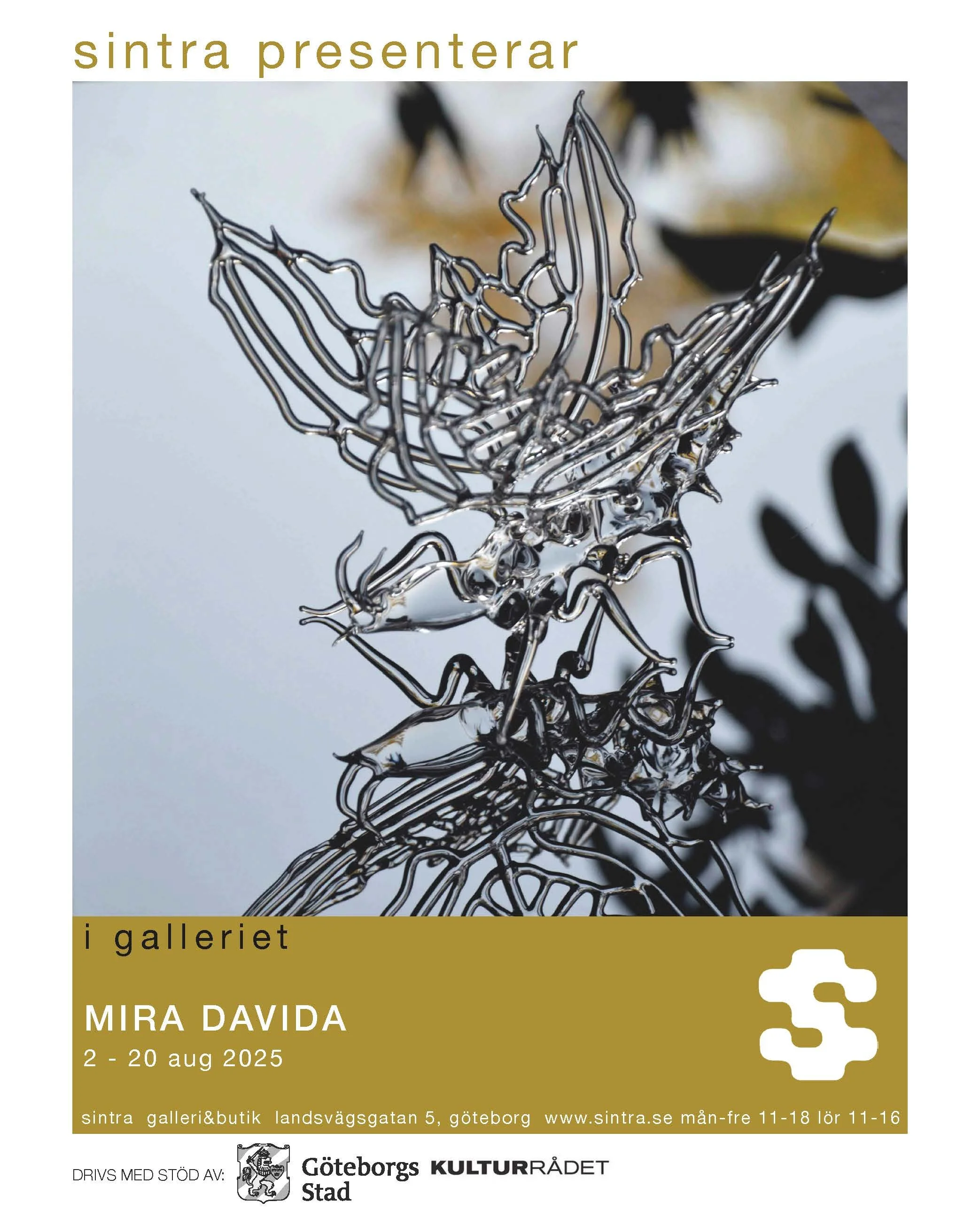 250802_davida.jpg