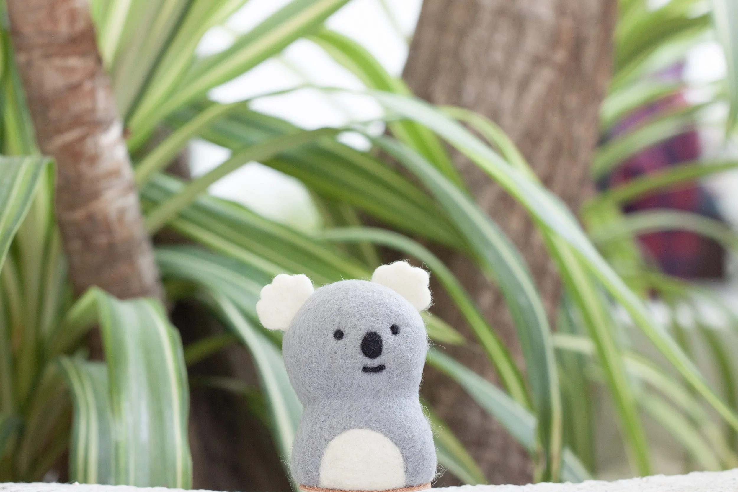 Koala