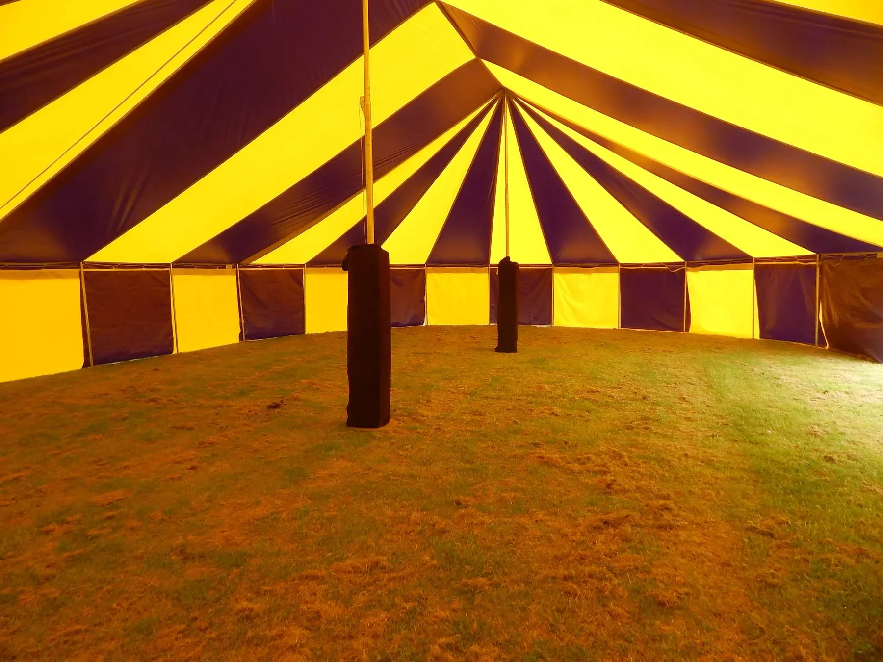 Interior of a large yellow and blue striped event tent with grass floor and support poles.