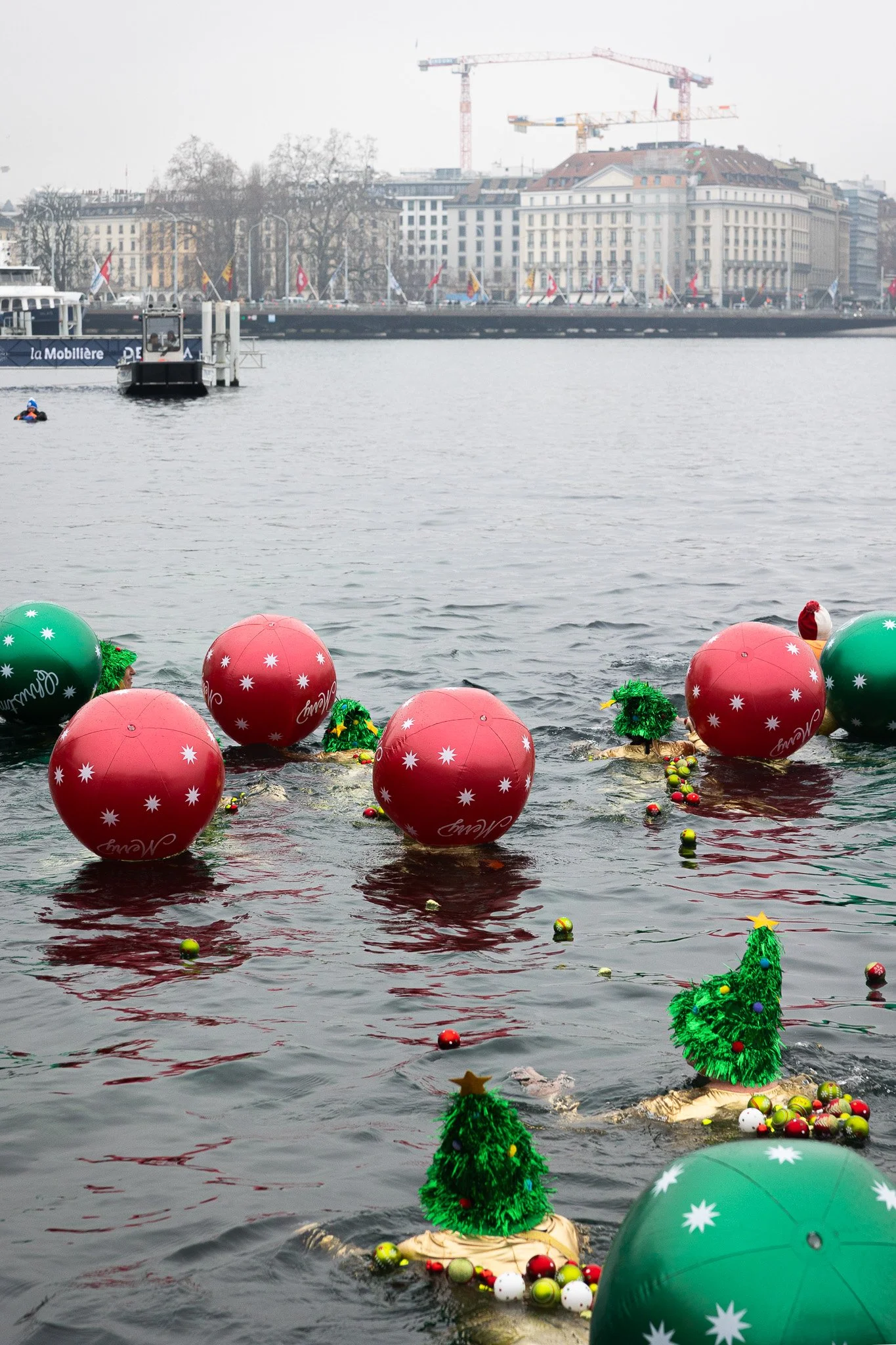 Coupe de Noël 2025 BD ©Eugénie Rousak-31.jpg