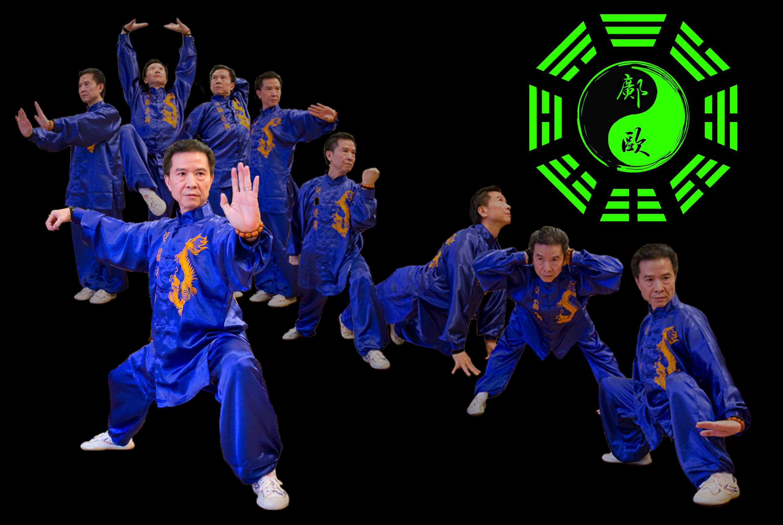 Sifu Chuek Ho Kwong (Tai Chi & Qi Gong)