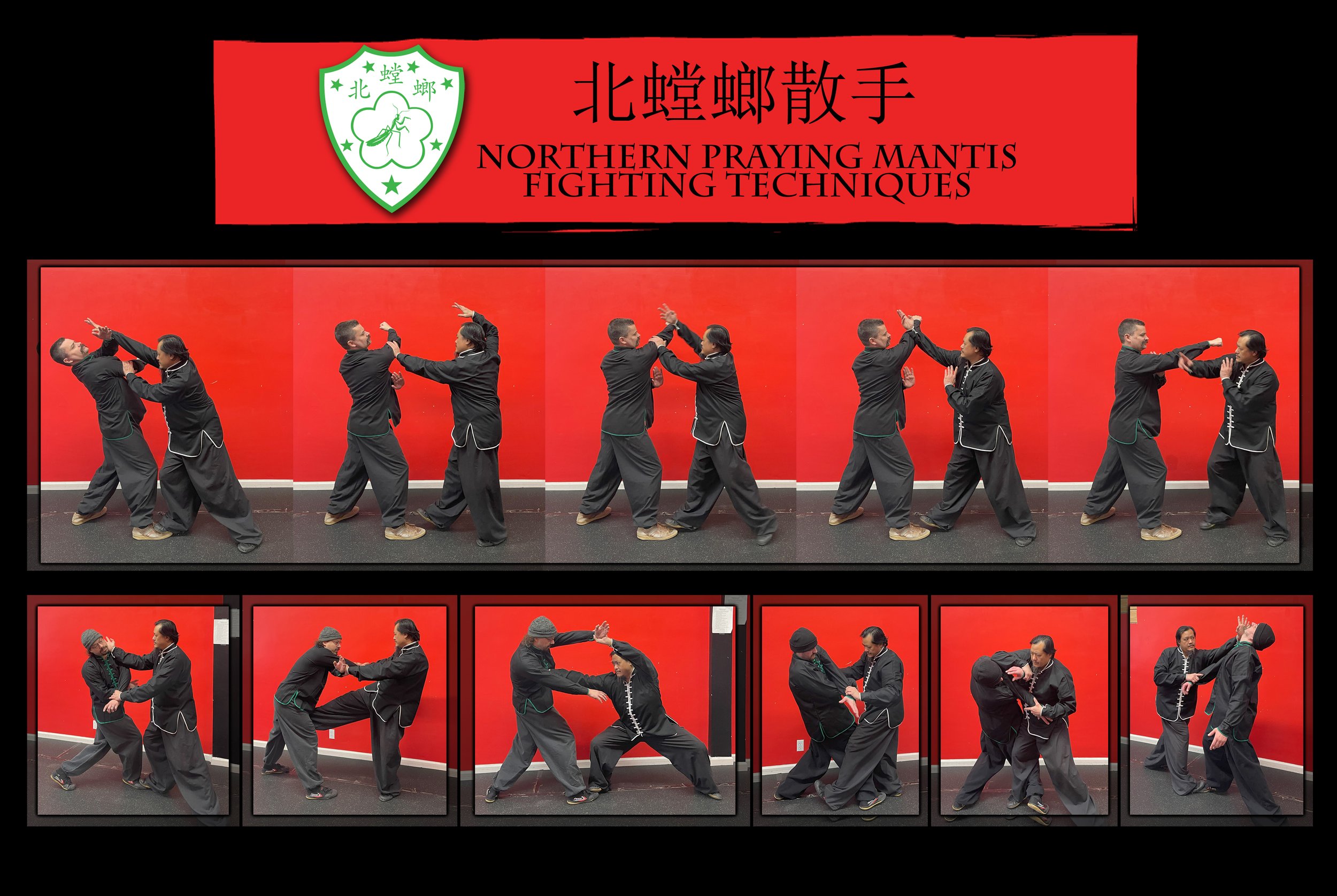 A poster displaying two groups of martial artists demonstrating Northern Praying Mantis fighting techniques against The top group shows several martial artists performing hand strikes, while the bottom group depicts pairs of practitioners executing various defensive and offensive moves.