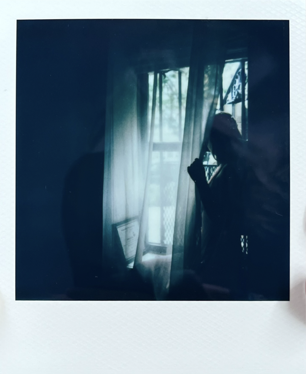 UNTITLED POLAROID PROJECT #8