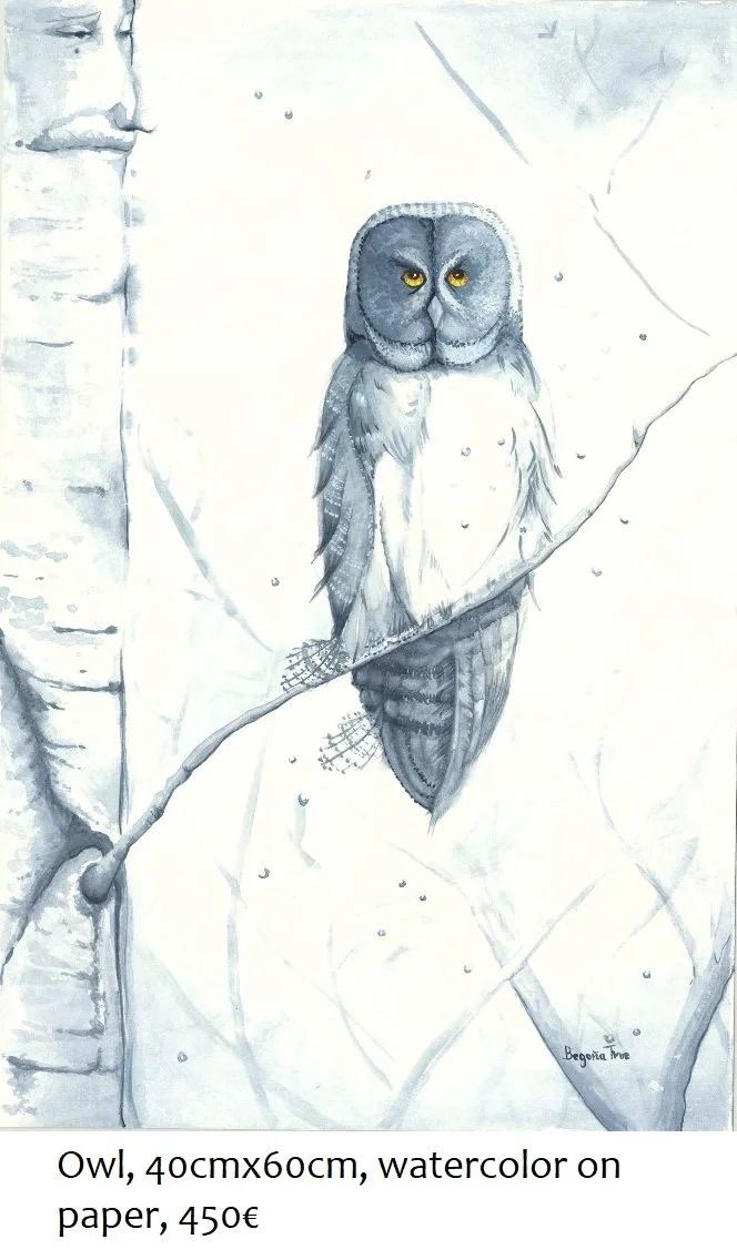 Owl