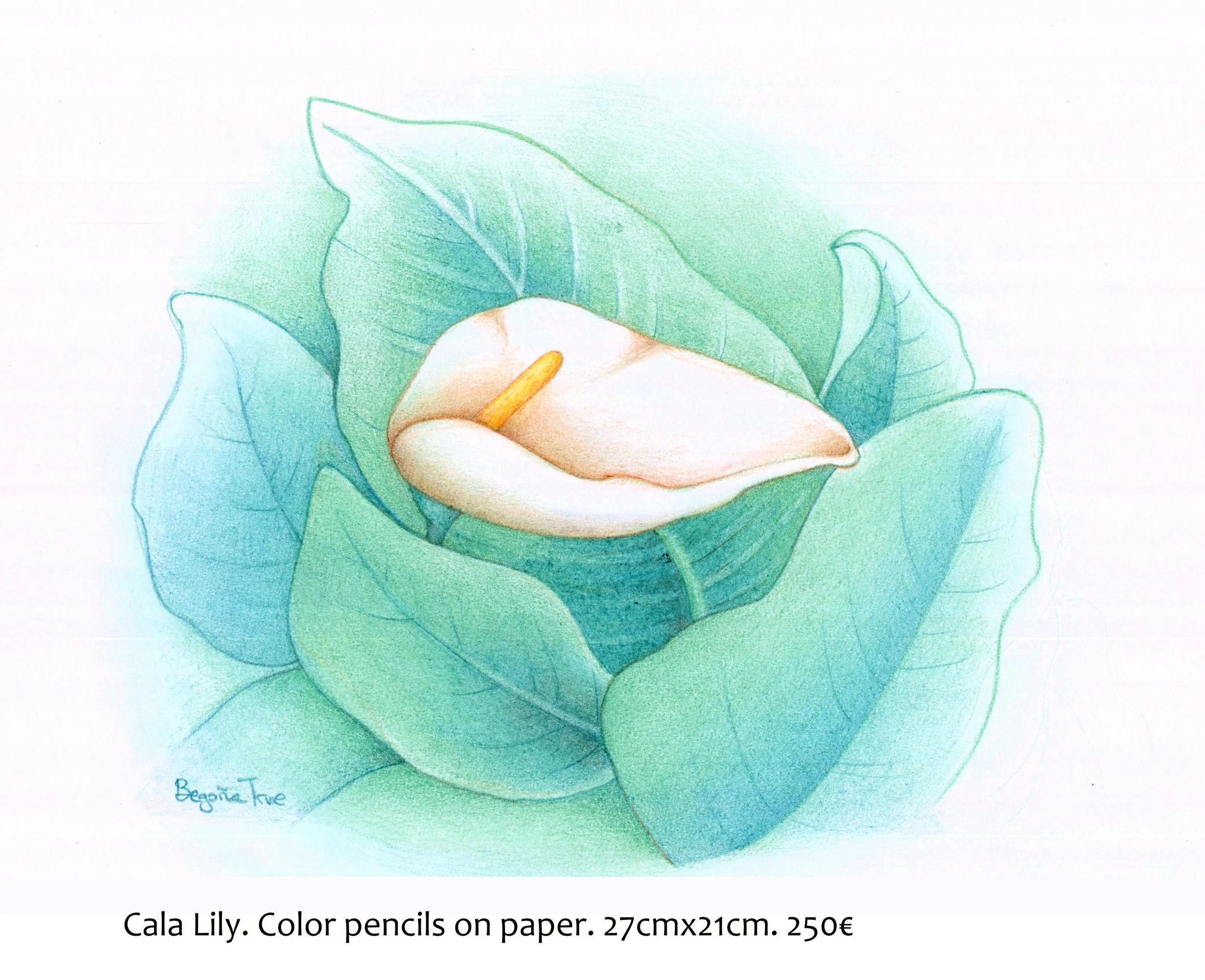 Cala Lilly