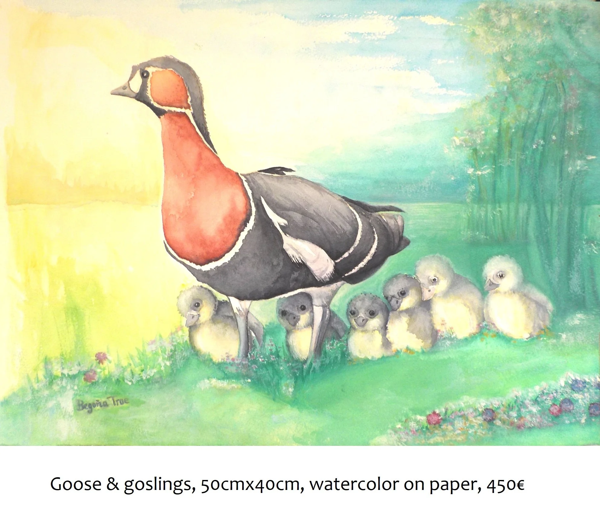 Goose & Goslings