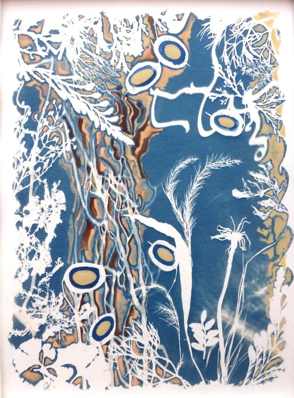 Lunaria Annua Dulcis