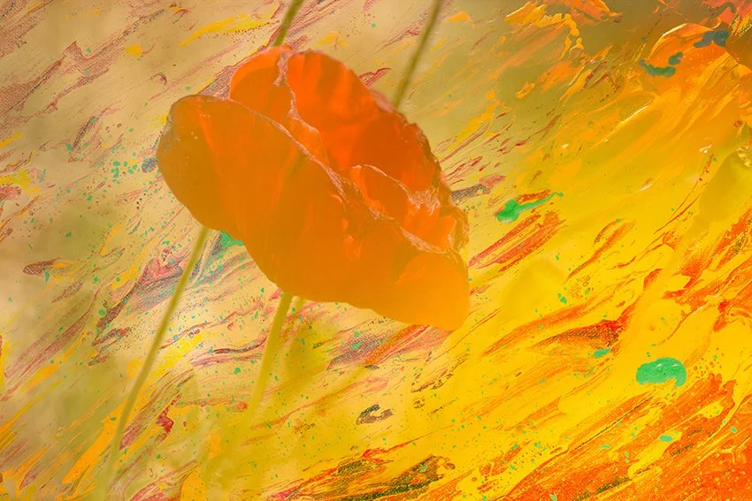 The 4 Elements - Fire #2