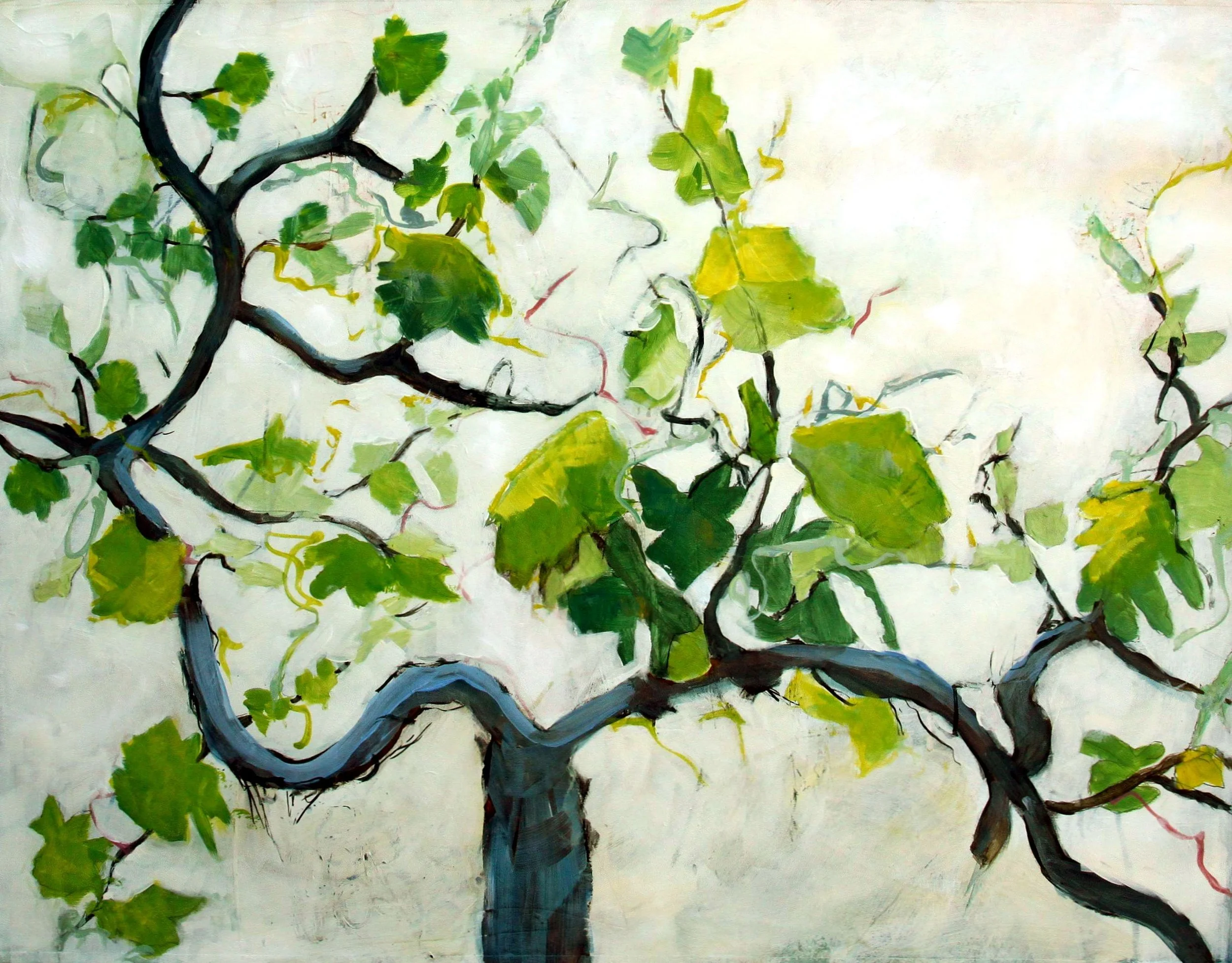 The Old Vine / A Velha Videira