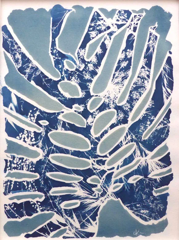 Monstera Deliciosa II