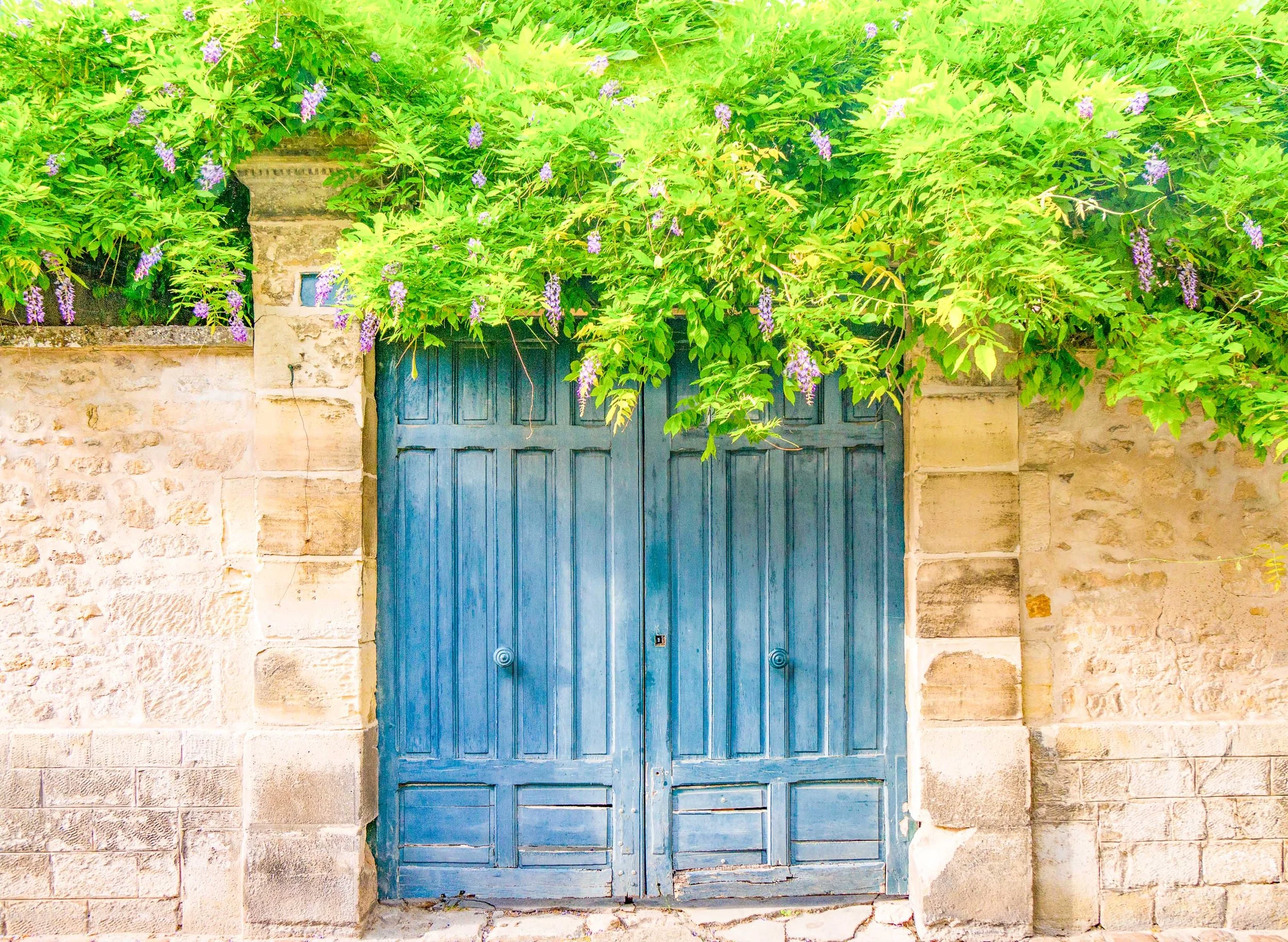 Wisteria Doors.jpg