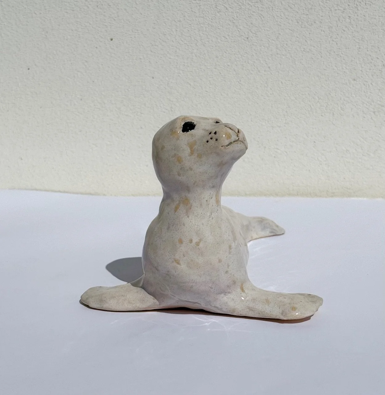 Seal Pup 2.jpeg