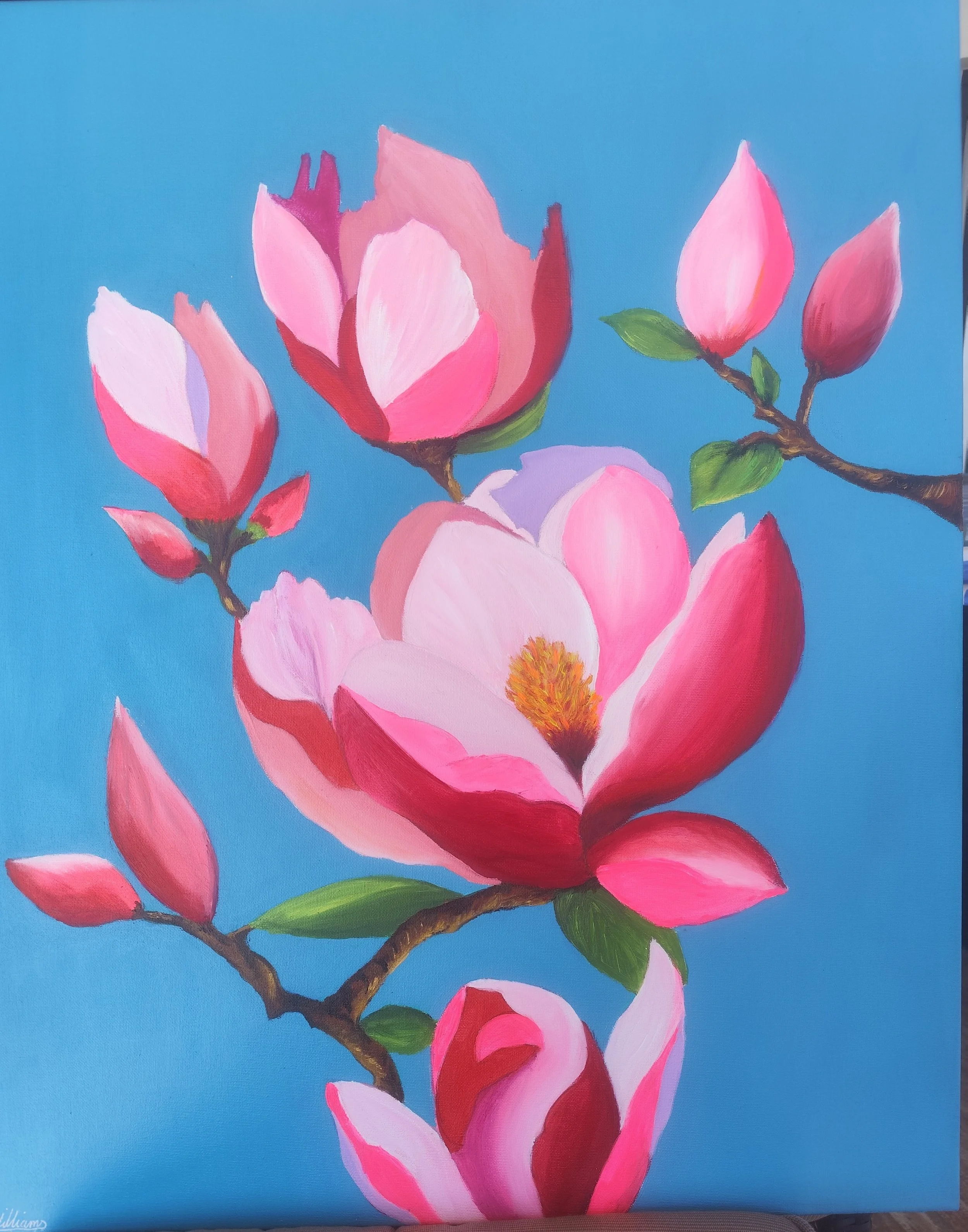 Buds and Flowers.jpg