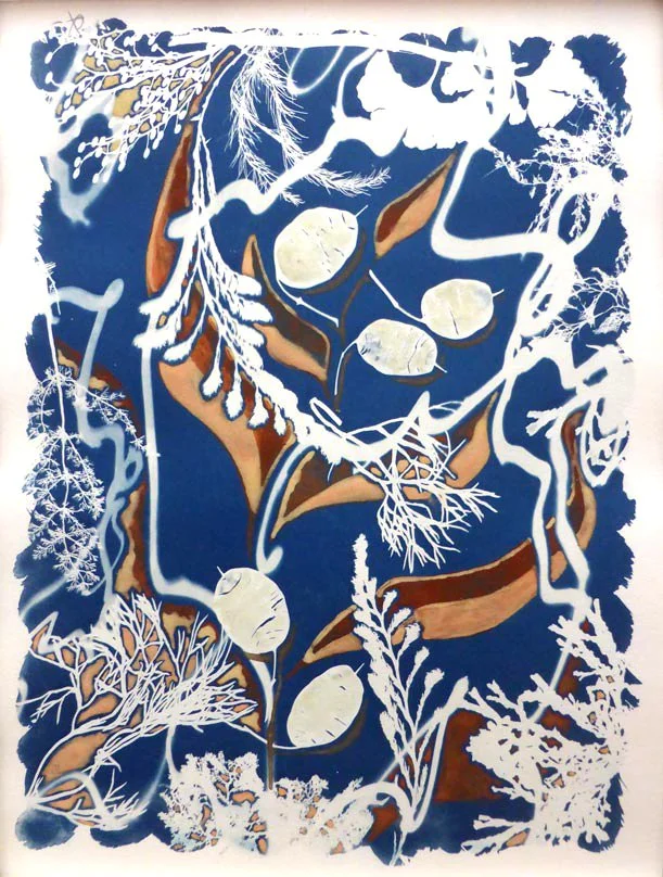 Lunaria Annua Salsus