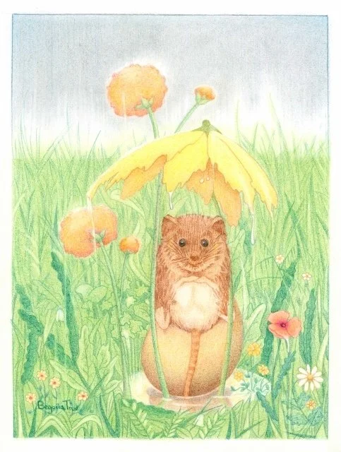 An umbrella for me (483x640).jpg