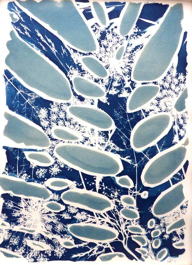 Monstera Deliciosa I